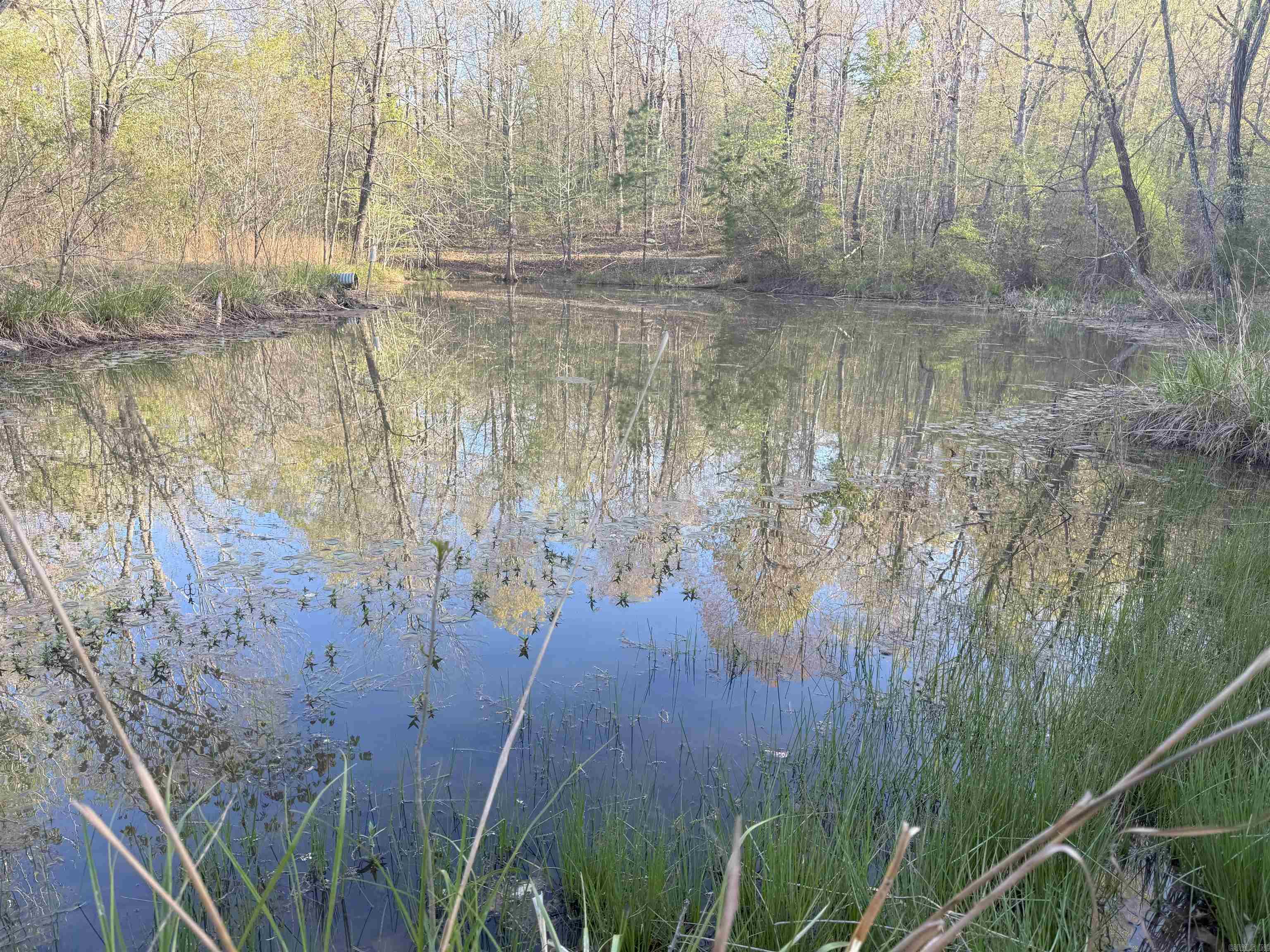 1088 Little Red River  Leslie, AR