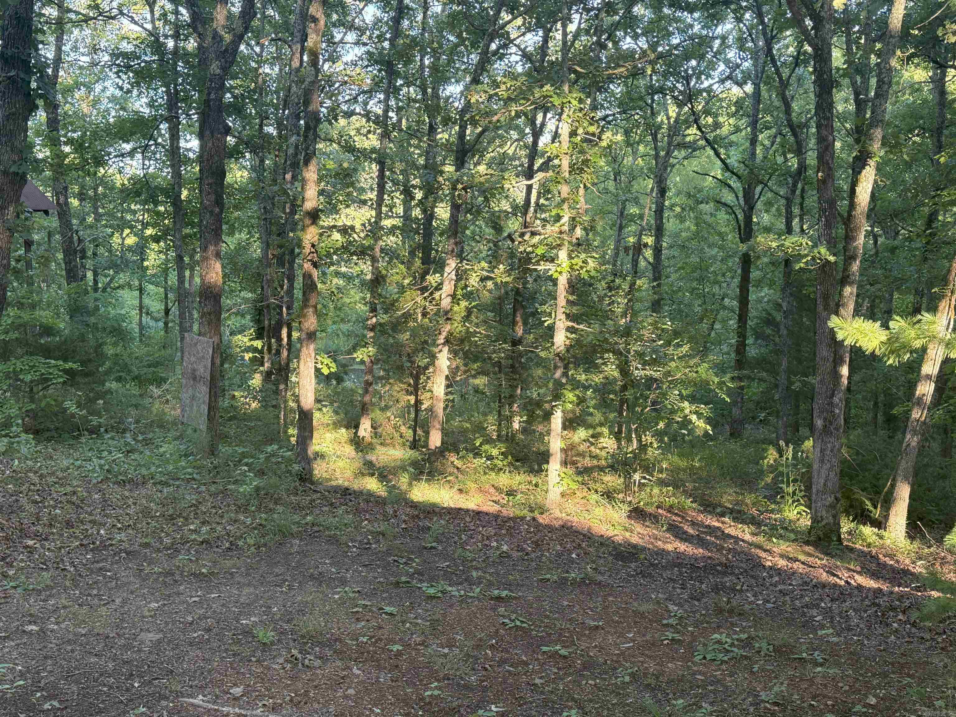 1088 Little Red River  Leslie, AR
