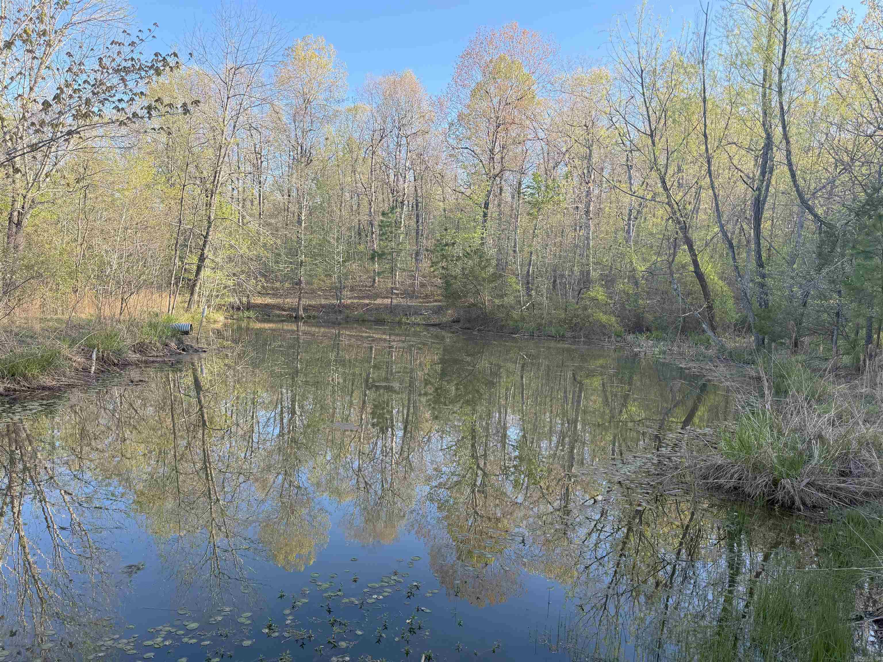 1088 Little Red River Road Leslie, AR 72645