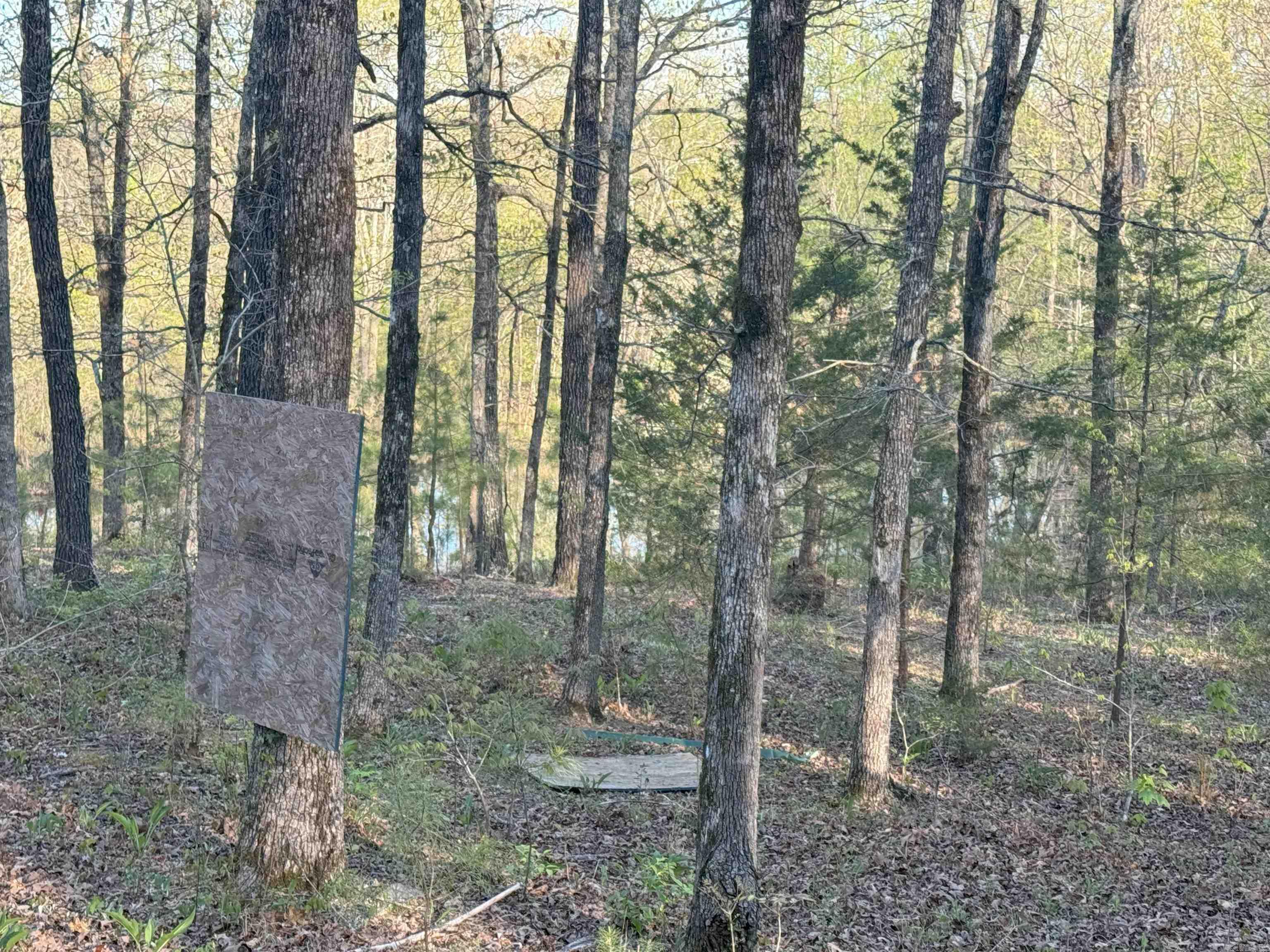 1088 Little Red River Road Leslie, AR 72645
