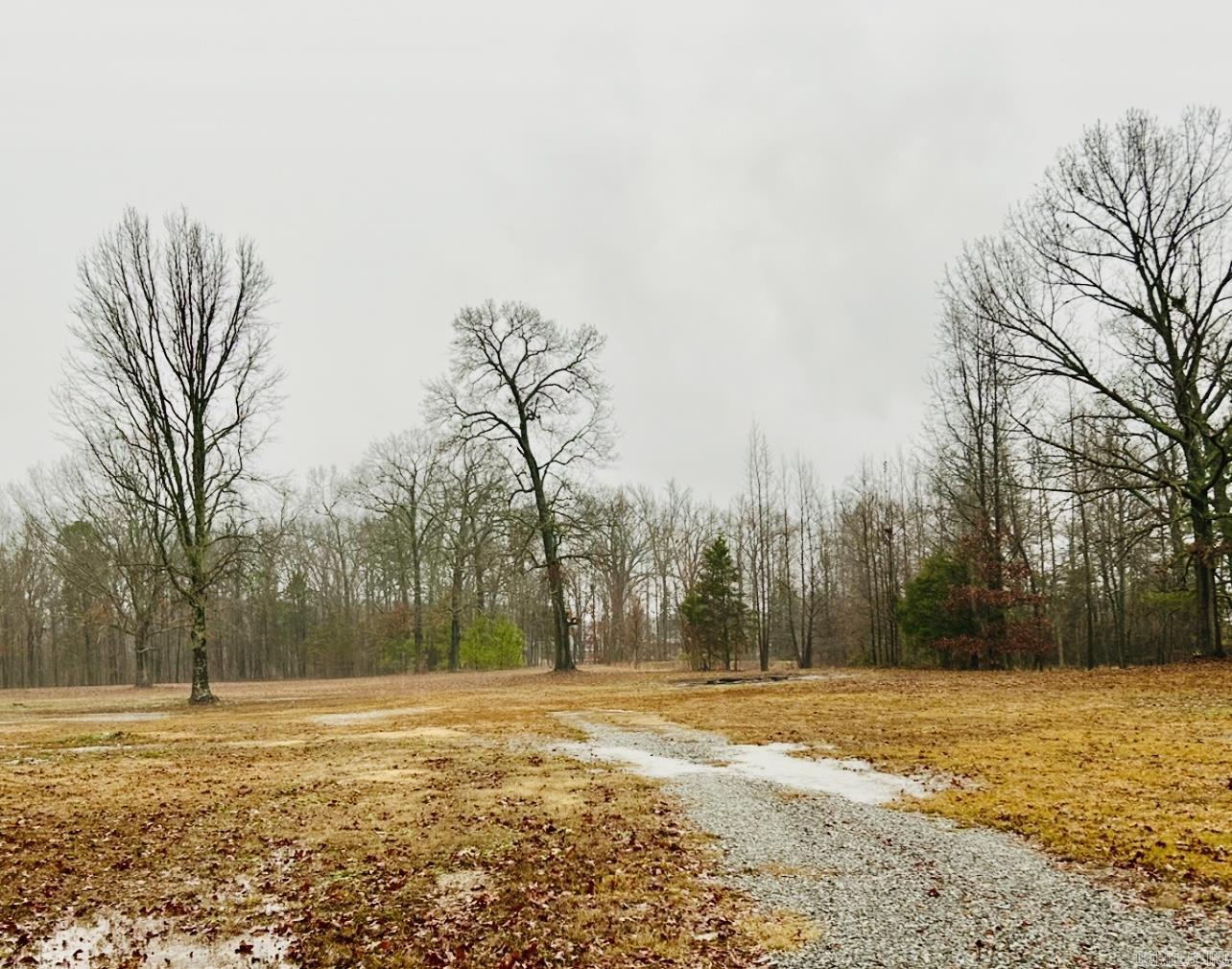 Lot 3  Snowden Circle  Greenbrier, AR