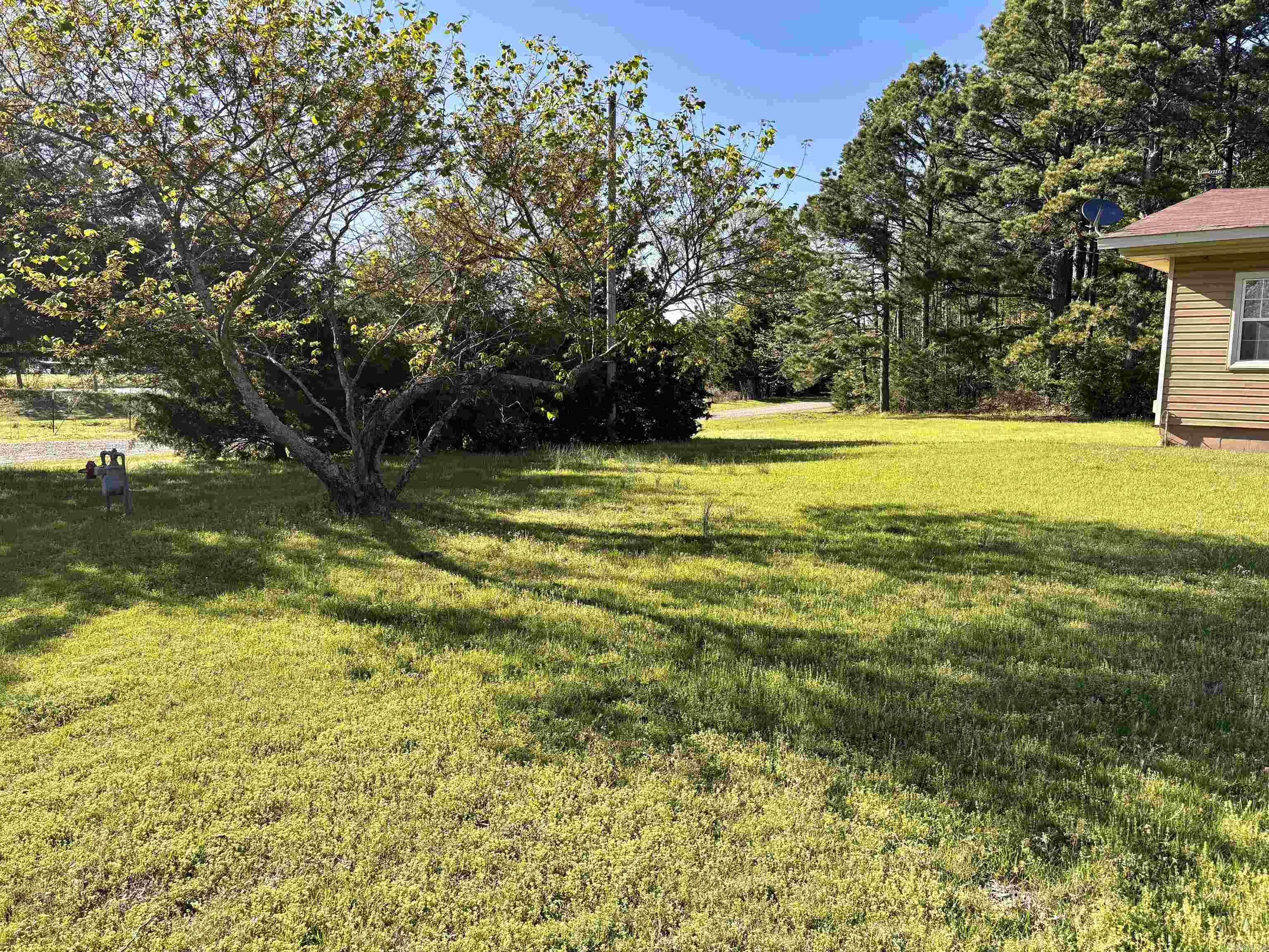 965  Winrock  Morrilton, AR
