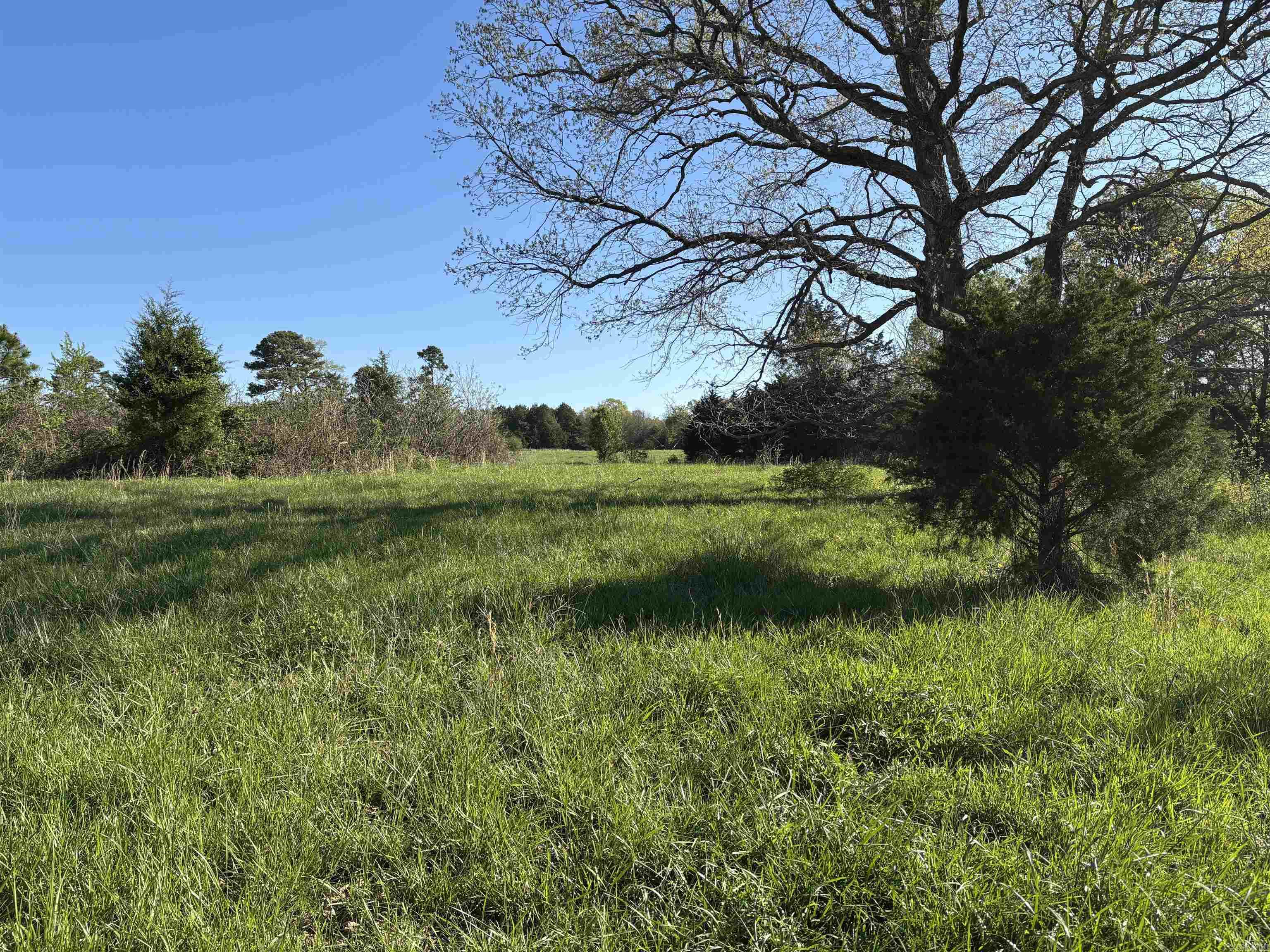 4732  hwy 157 N  Judsonia, AR