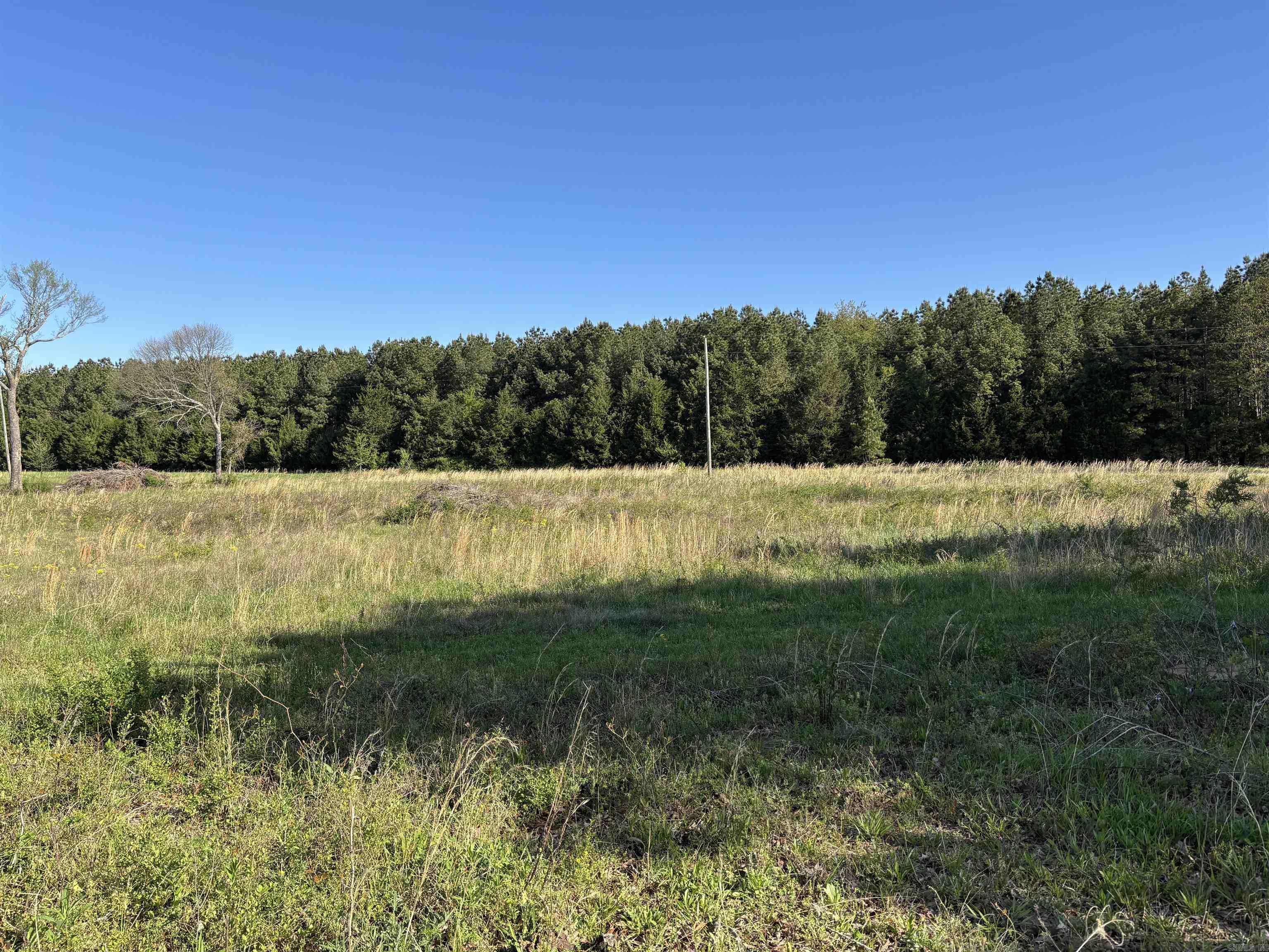 4732  hwy 157 N  Judsonia, AR