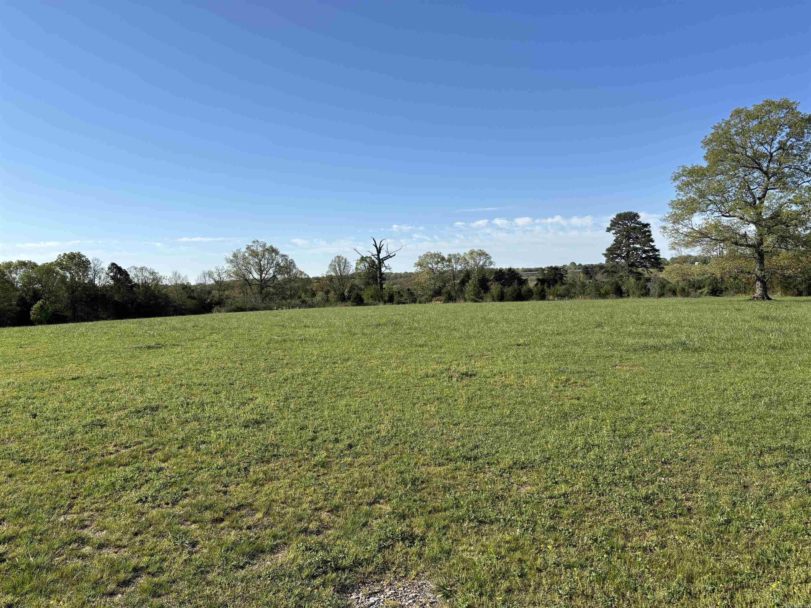 4732  hwy 157 N  Judsonia, AR