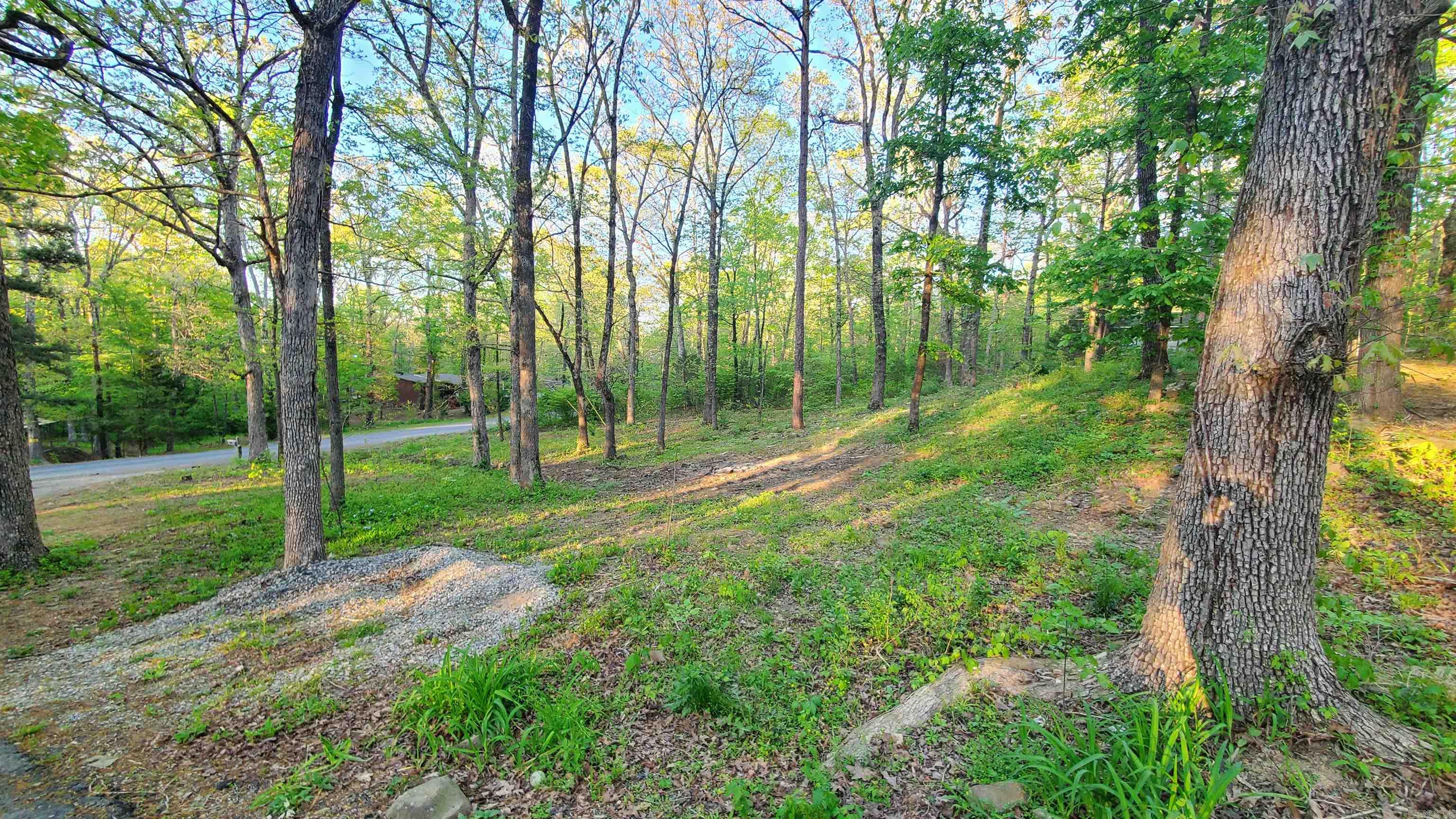 949  Cove Creek  Quitman, AR