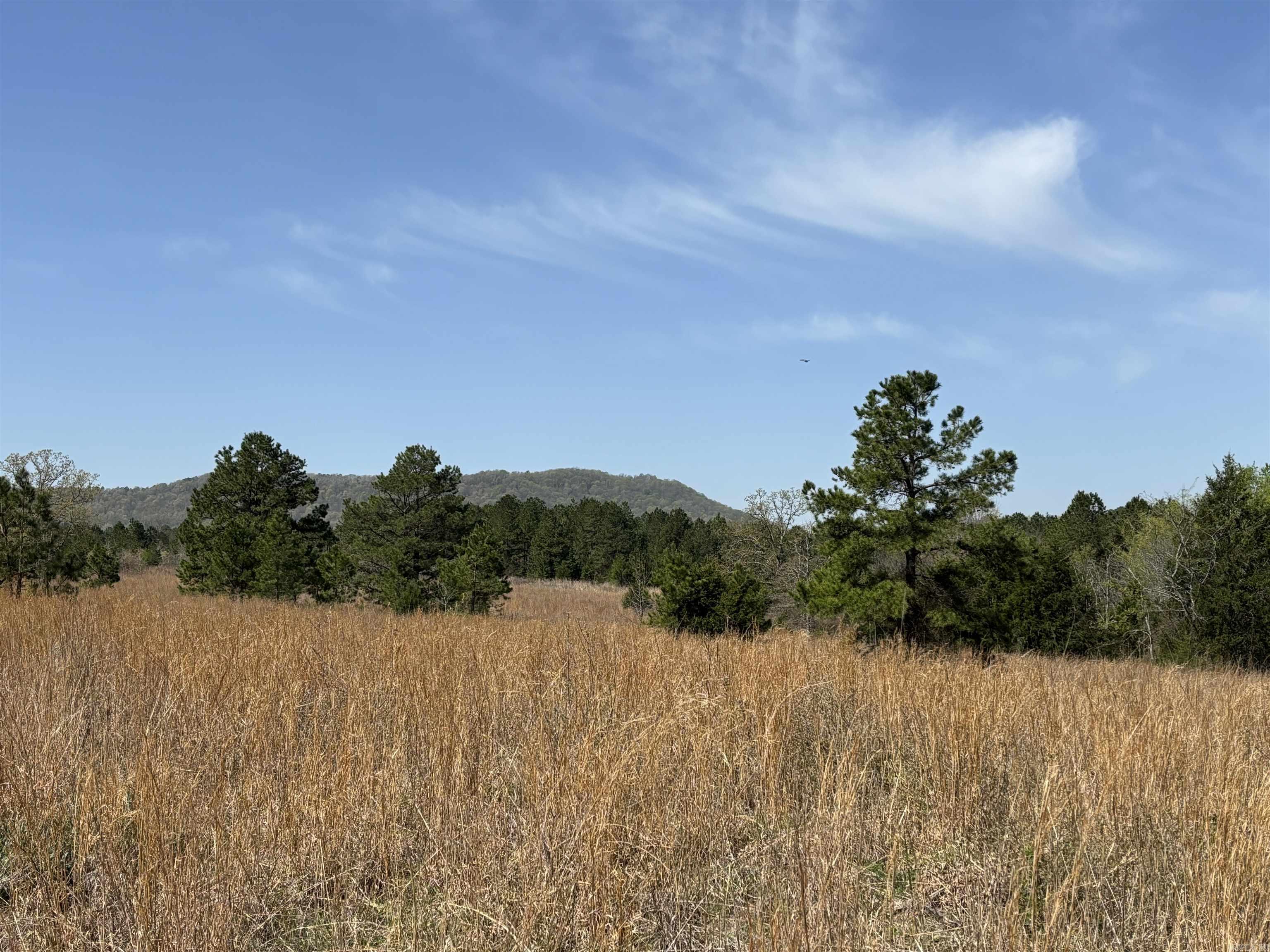 0000  Flannery  Calico Rock, AR