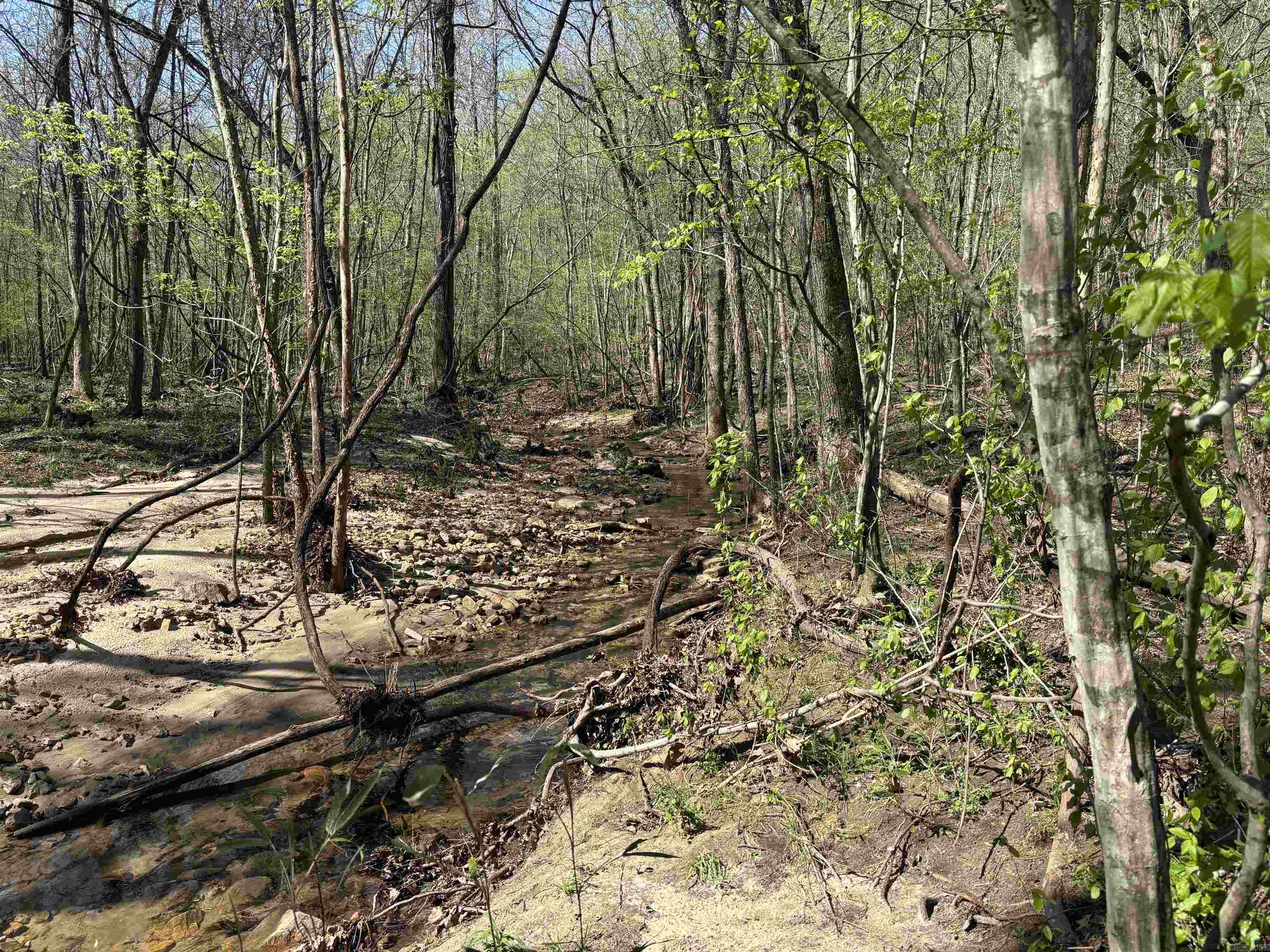 0000  Flannery  Calico Rock, AR