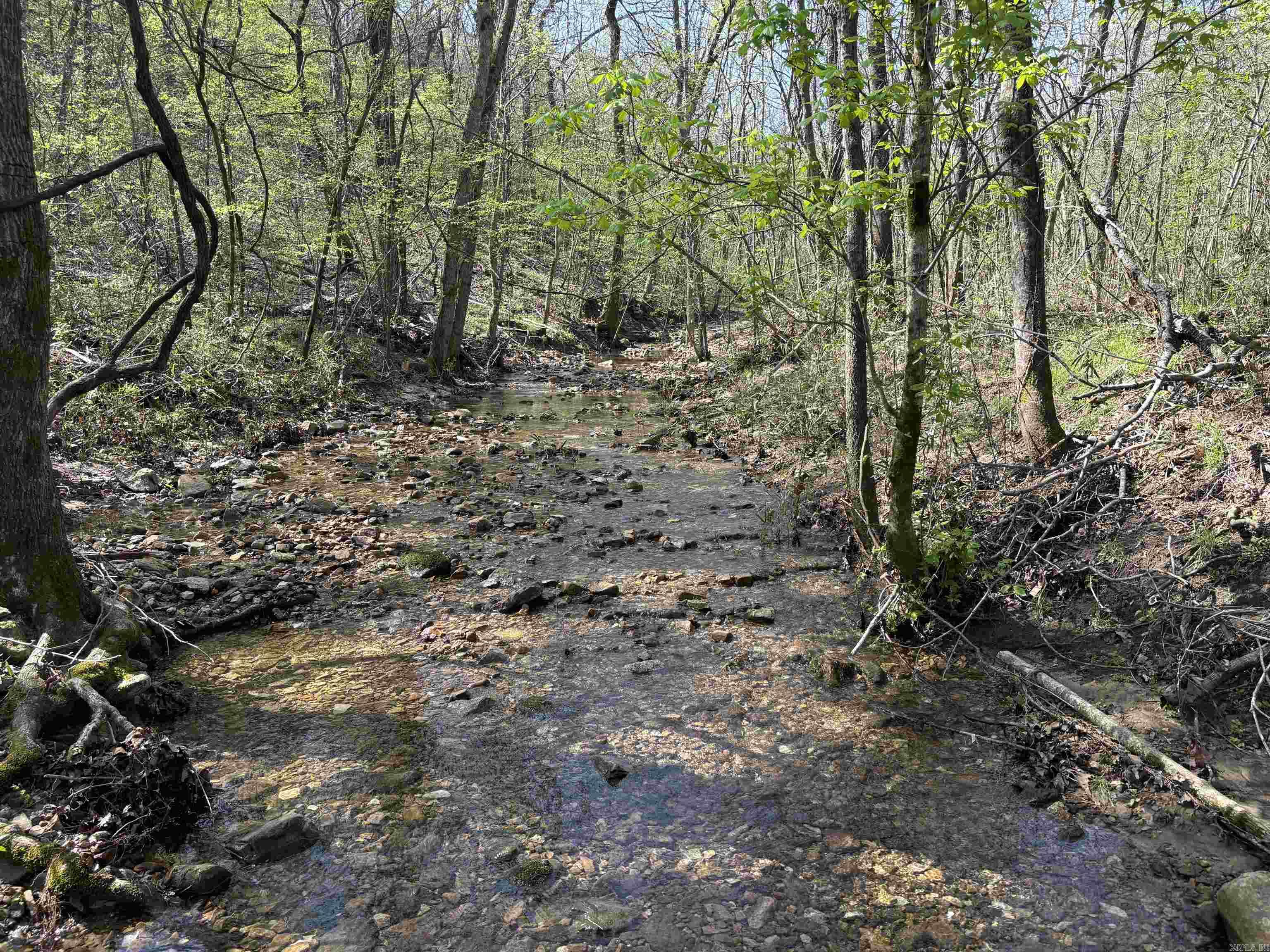 0000 Flannery  Calico Rock, AR