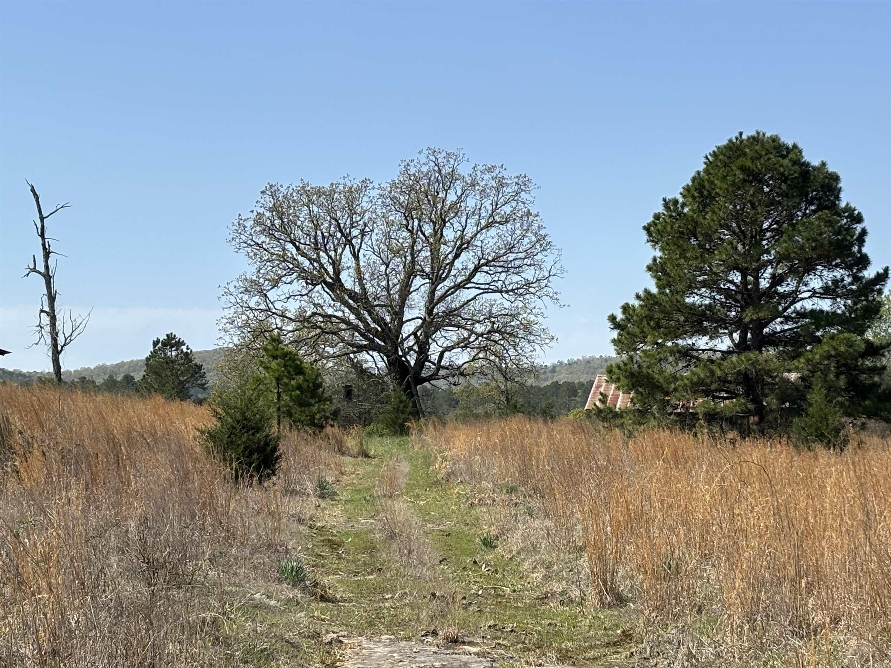 0000  Flannery  Calico Rock, AR