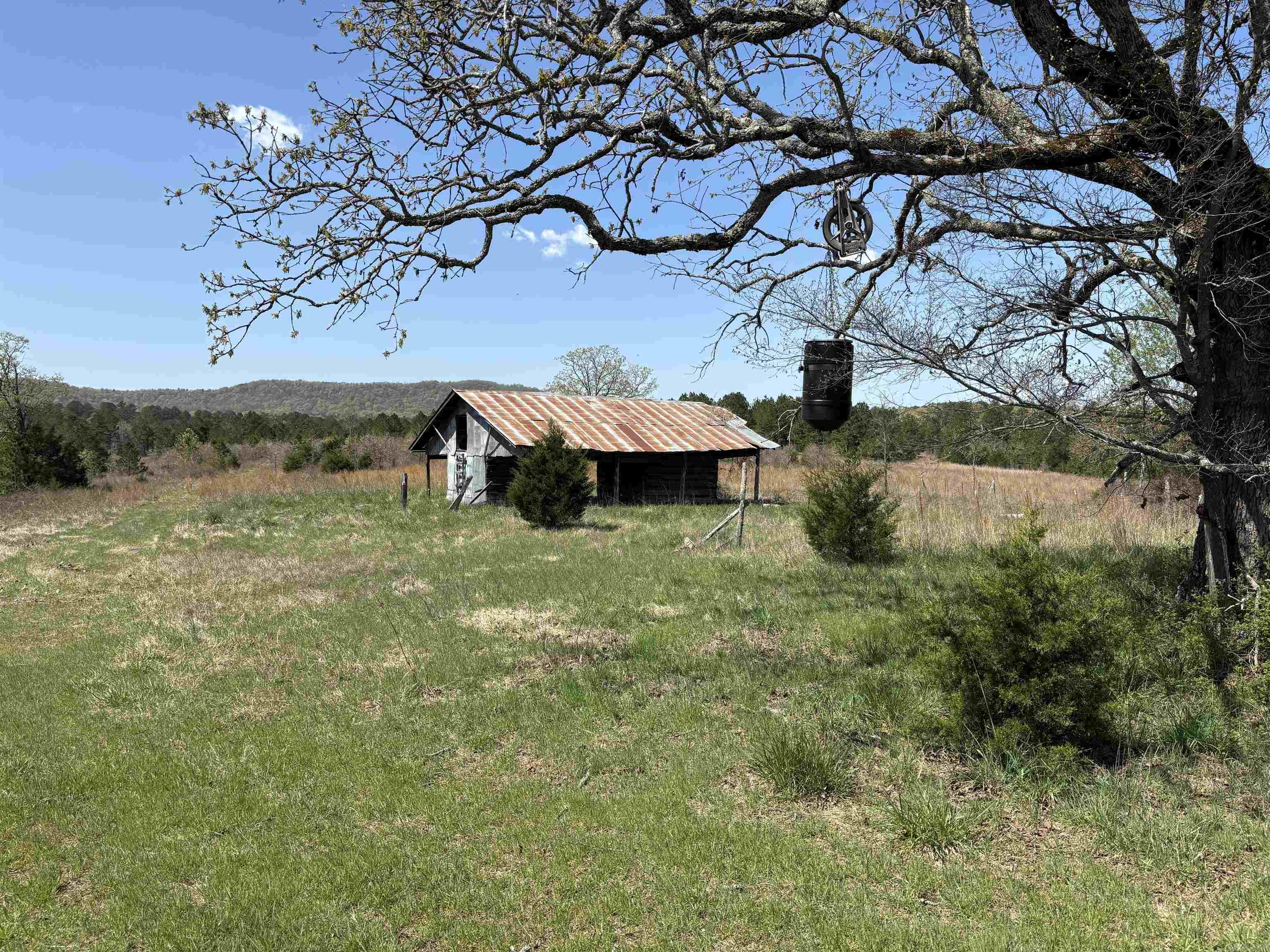 0000  Flannery  Calico Rock, AR