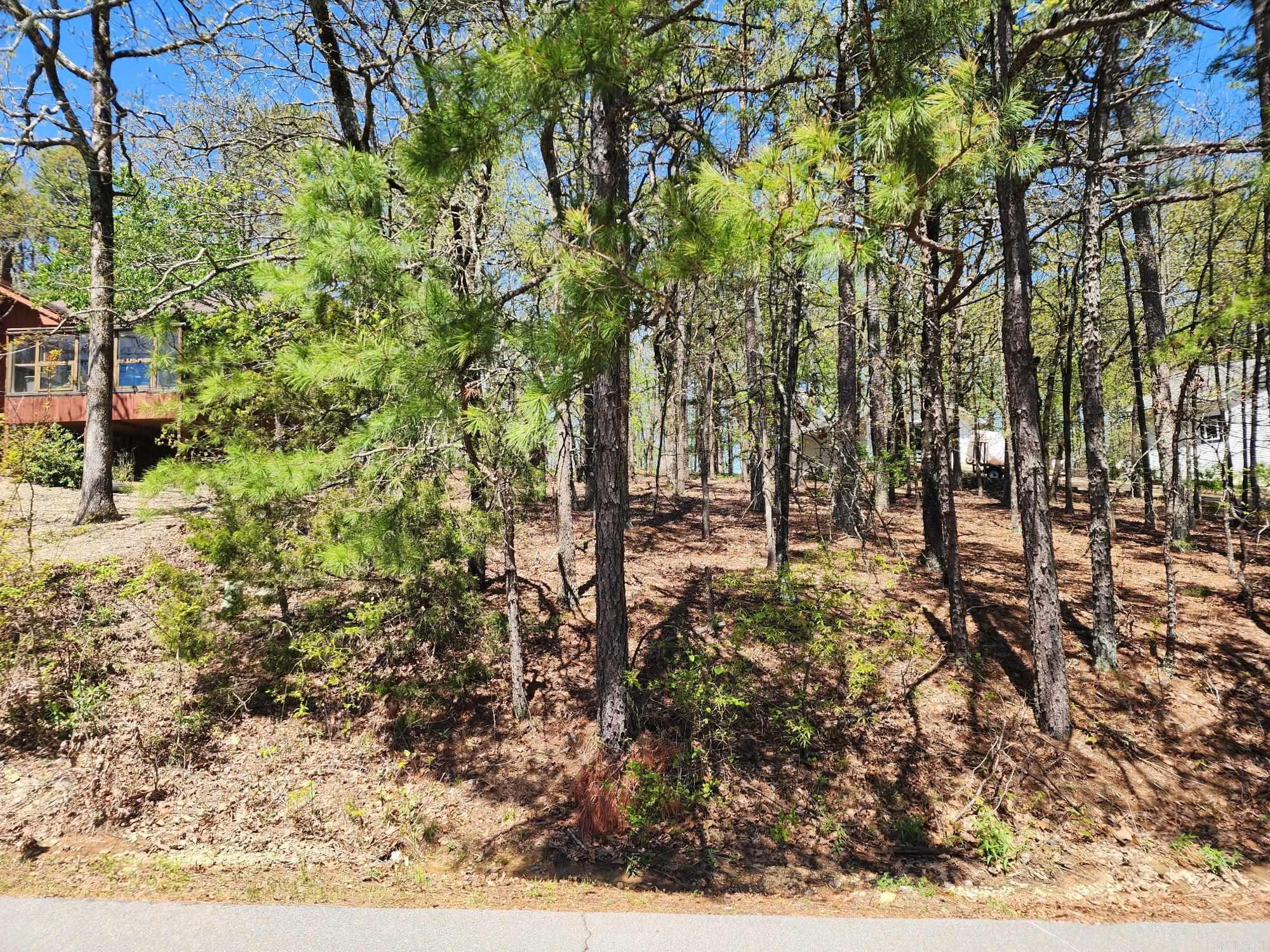 42  Almazan  Hot Springs Village, AR