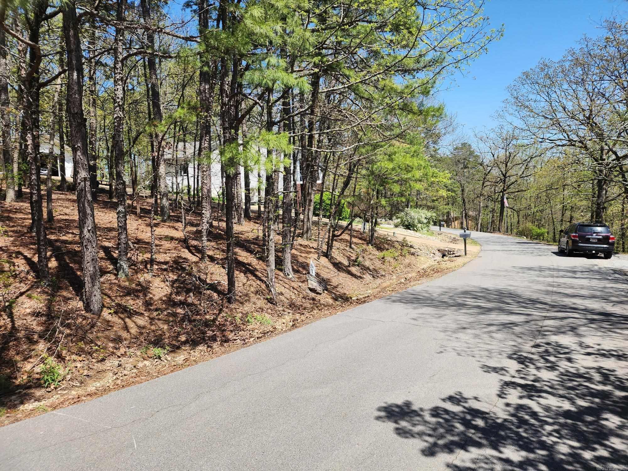 42  Almazan  Hot Springs Village, AR
