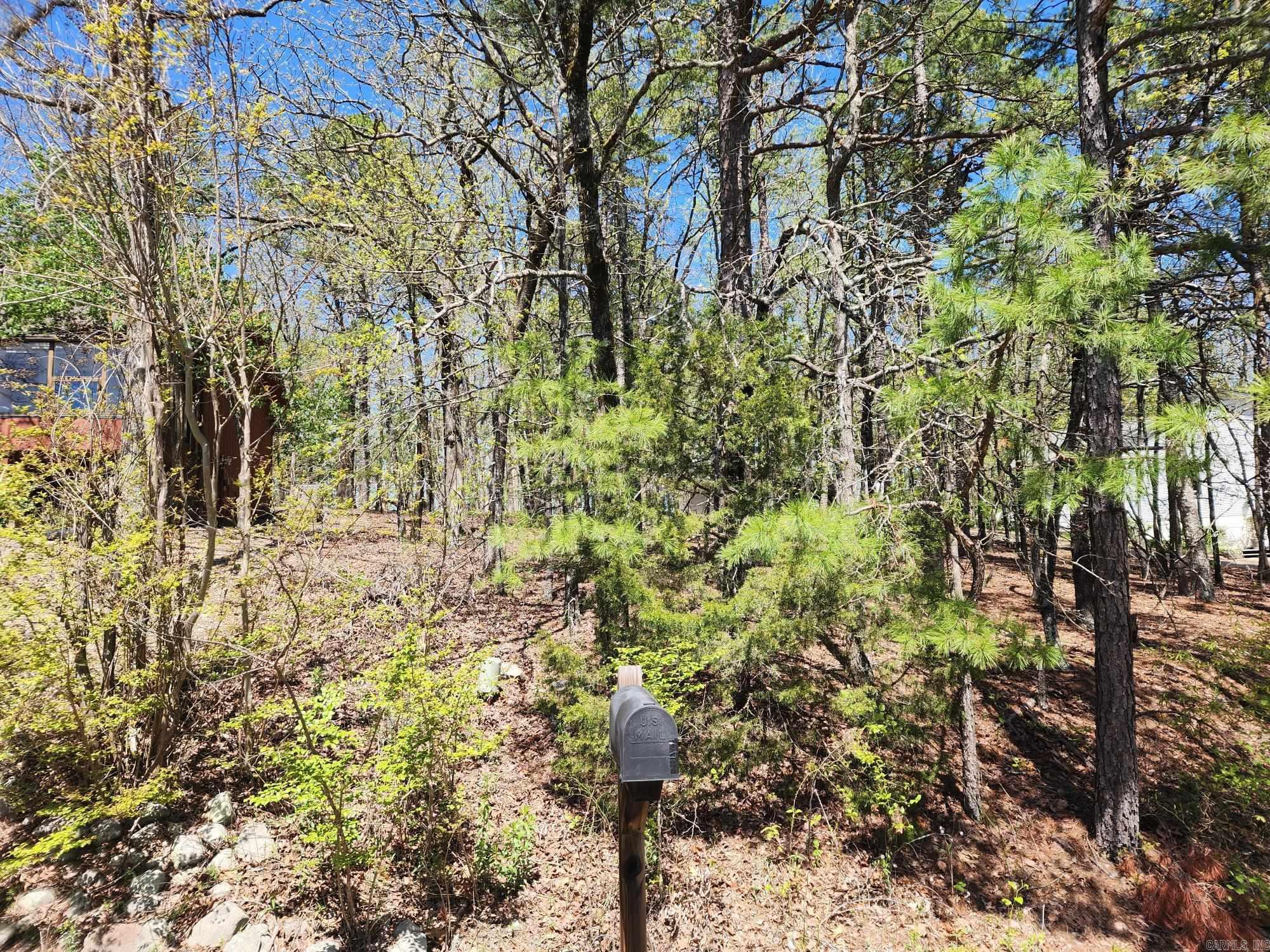 42  Almazan  Hot Springs Village, AR