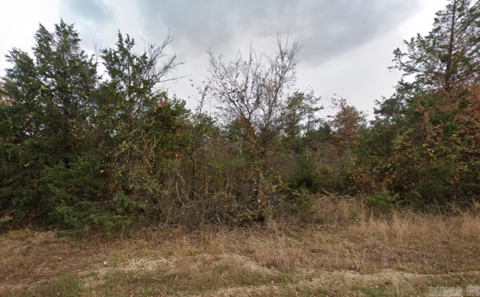 Lot 19  Dove  Lead Hill, AR