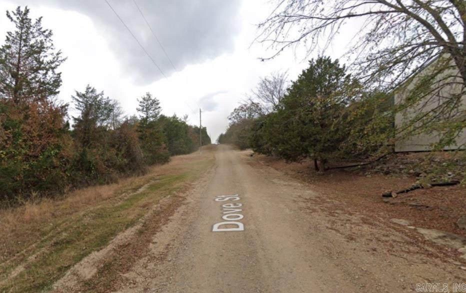 Lot 19  Dove  Lead Hill, AR