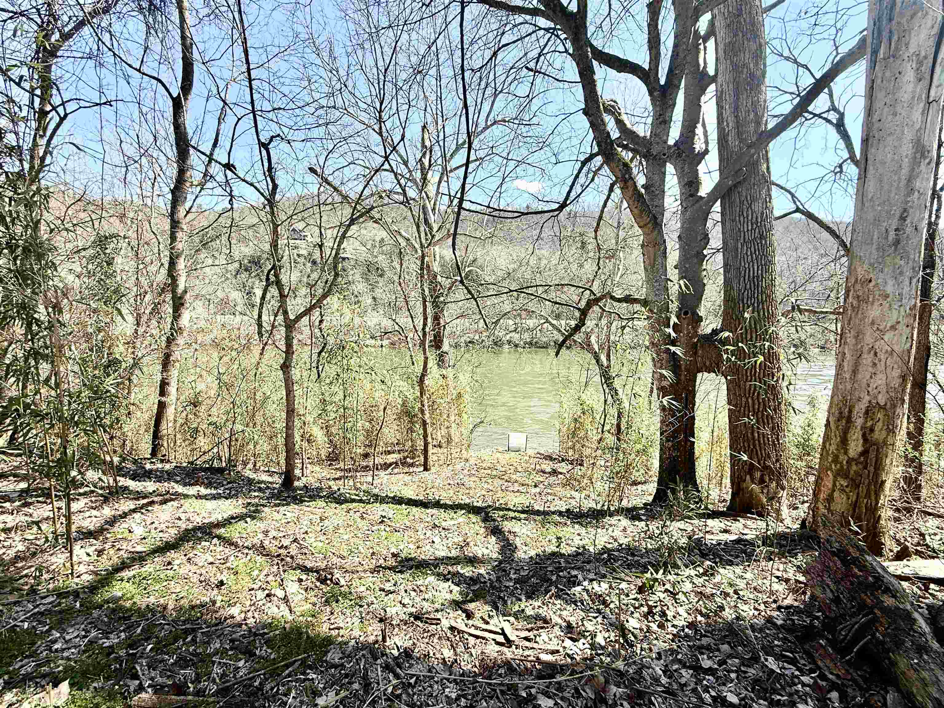 1  Allure Lane  Mountain View, AR