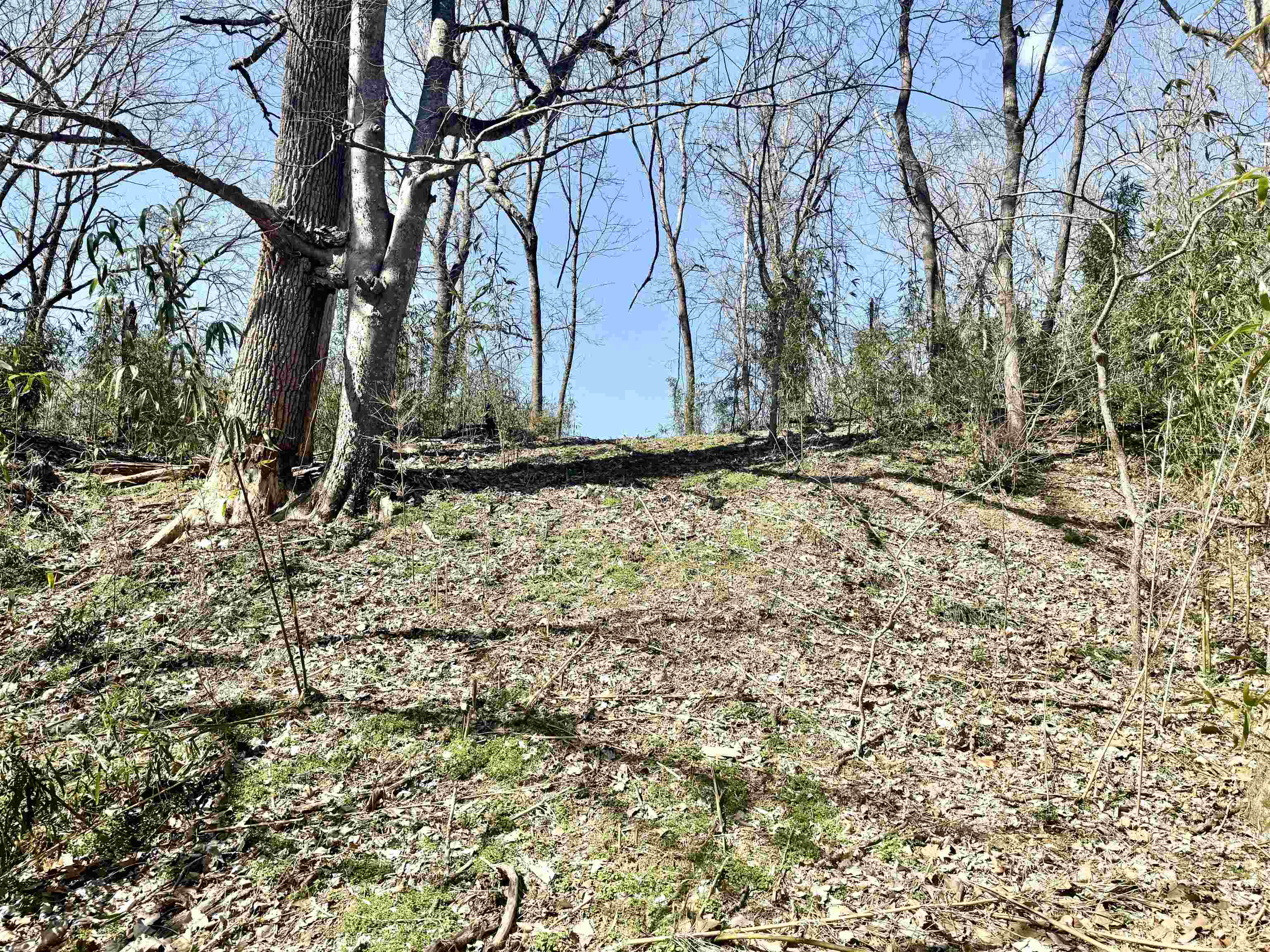 1  Allure Lane  Mountain View, AR