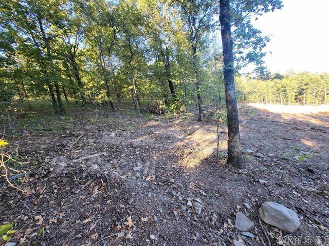55  ROLLING MANOR  Conway, AR
