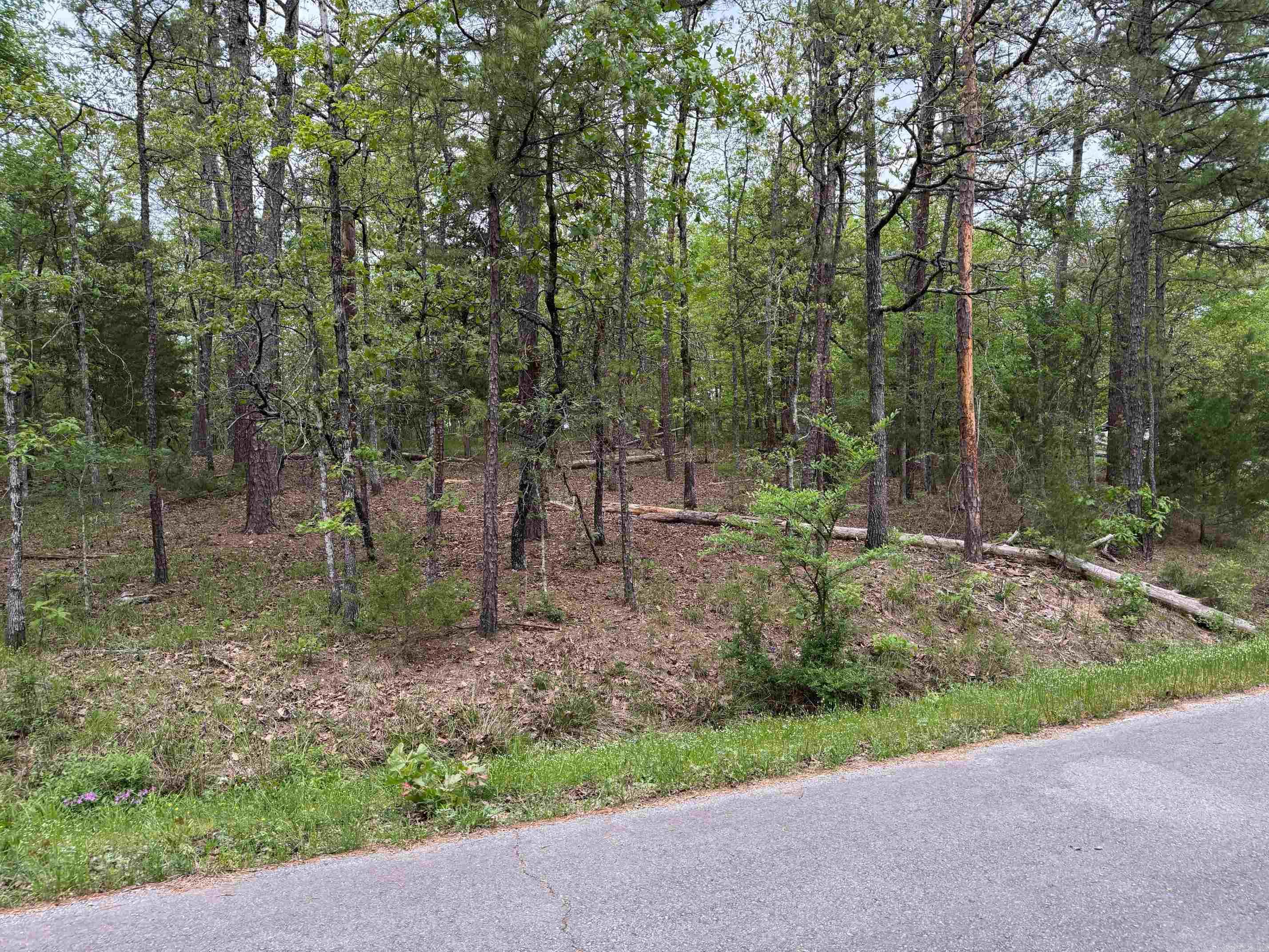 42  PINOCHA WAY  Hot Springs Village, AR