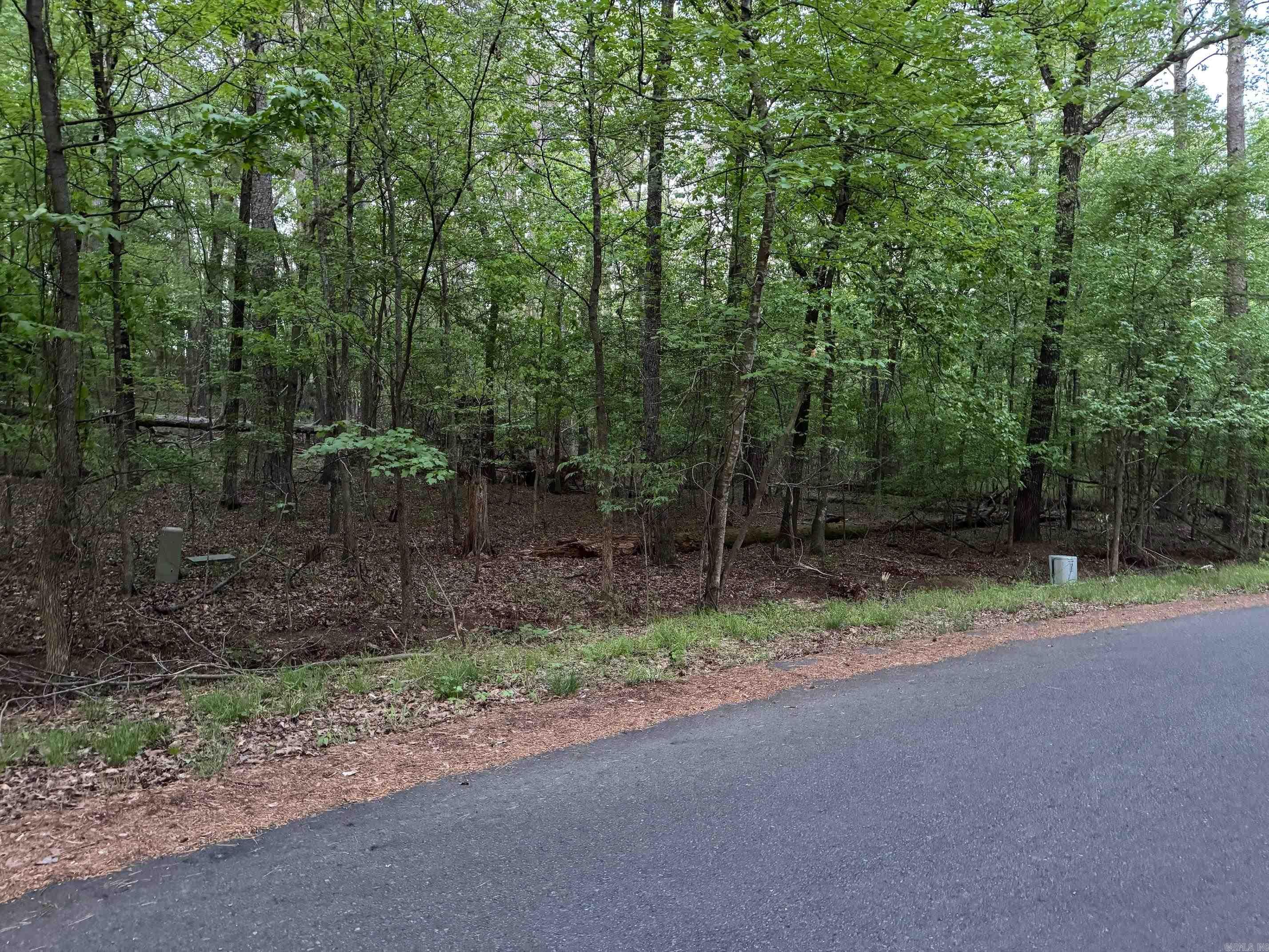 26  ZAFIRO WAY  Hot Springs Village, AR