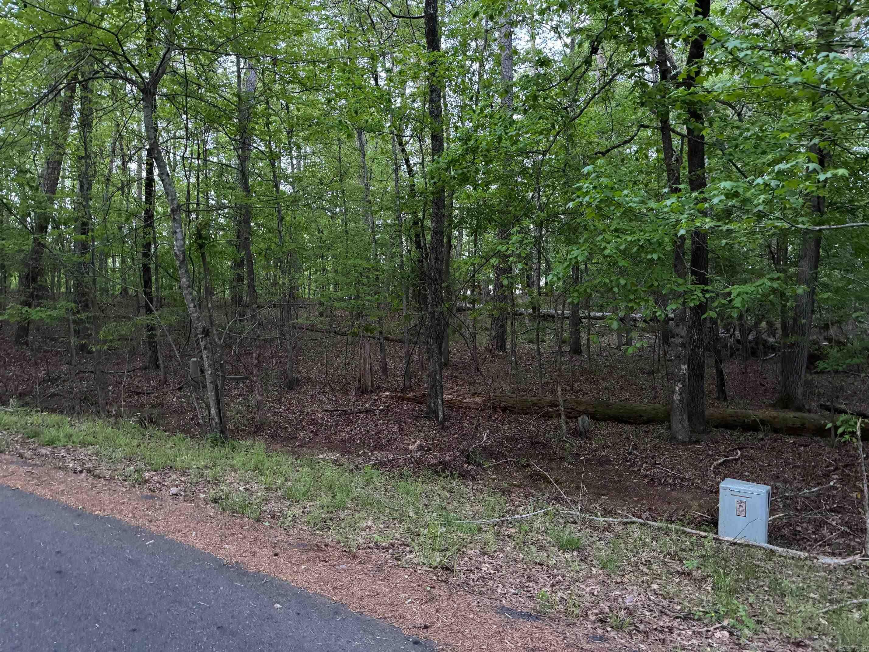 26  ZAFIRO WAY  Hot Springs Village, AR