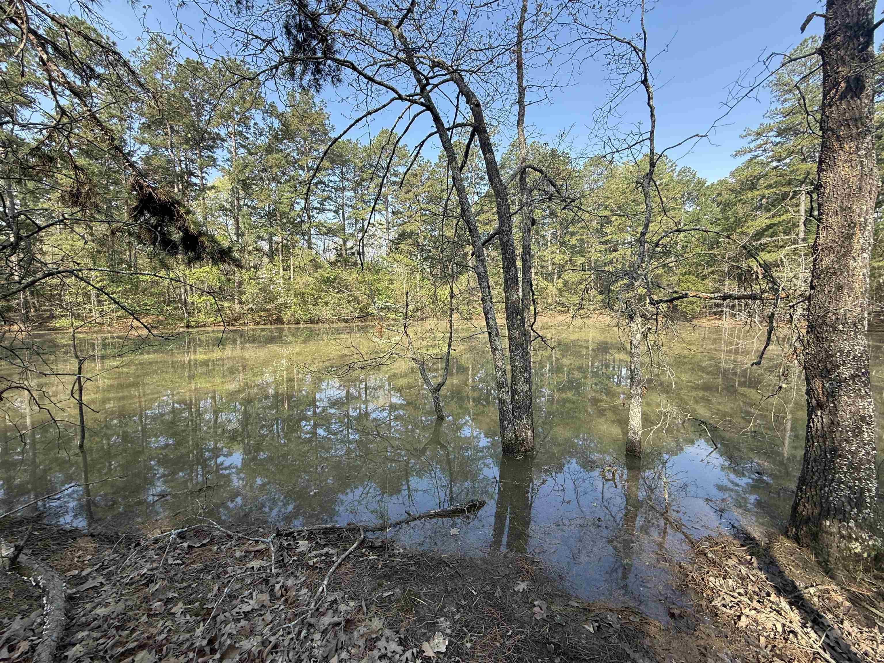 1314  Shoemaker Road  Violet Hill, AR