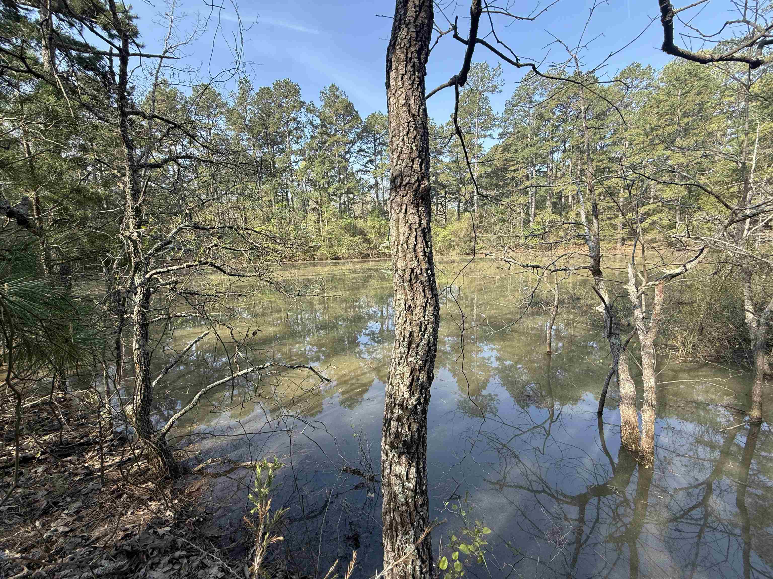 1314  Shoemaker Road  Violet Hill, AR