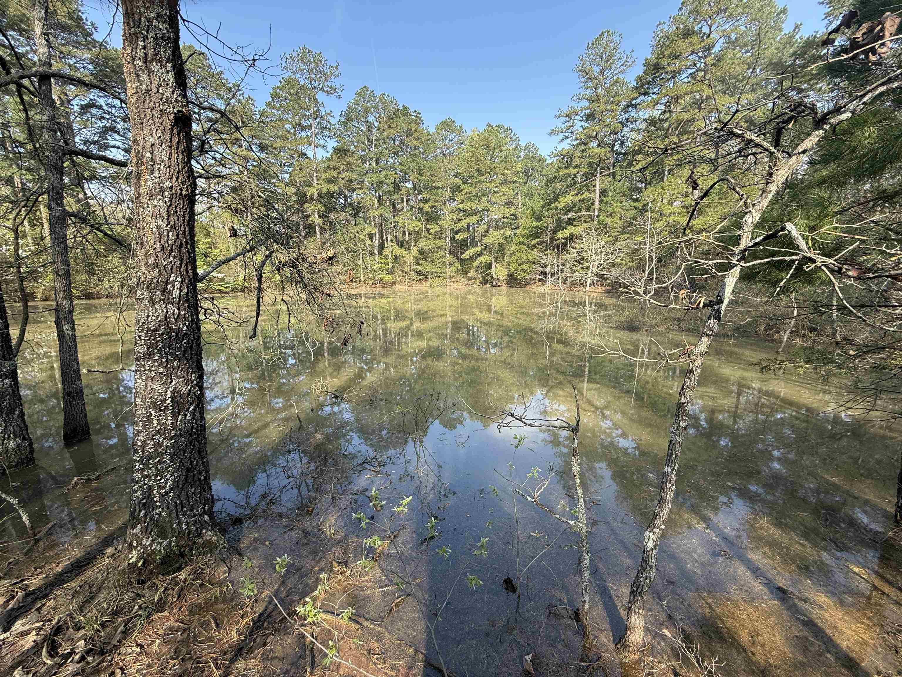 1314  Shoemaker Road  Violet Hill, AR
