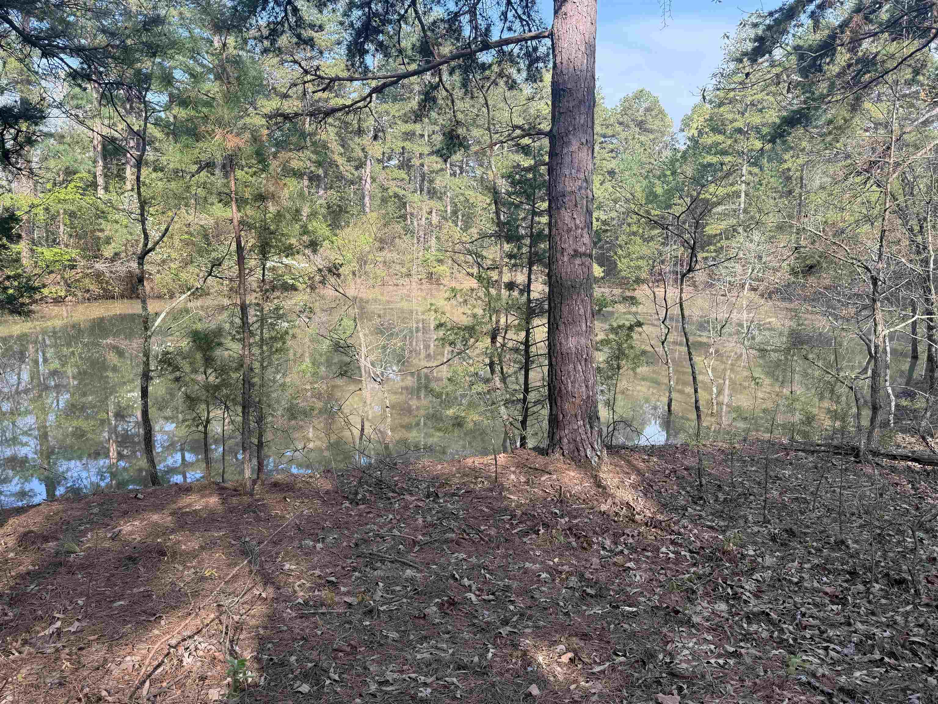 1314  Shoemaker Road  Violet Hill, AR