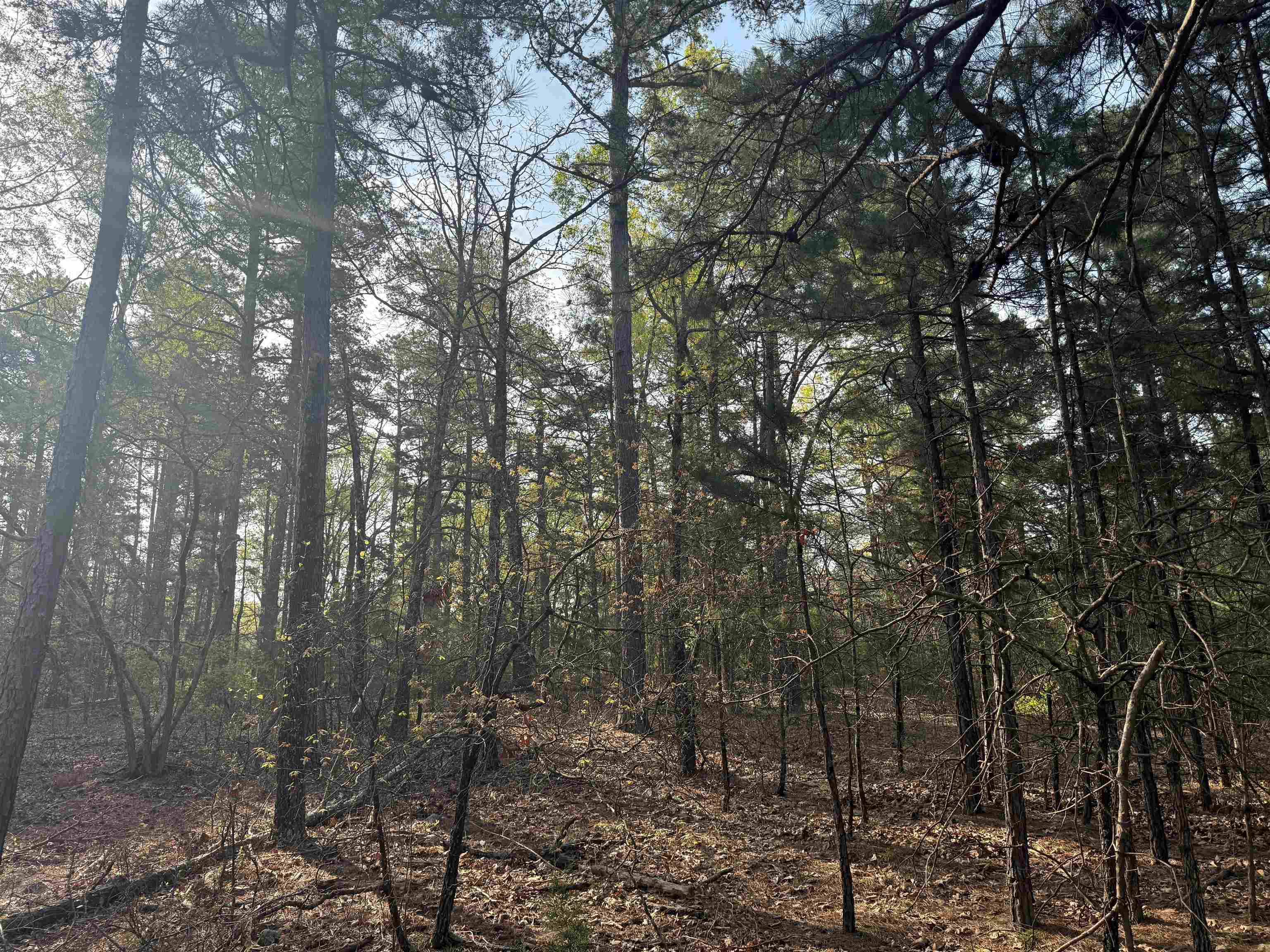 1314  Shoemaker Road  Violet Hill, AR