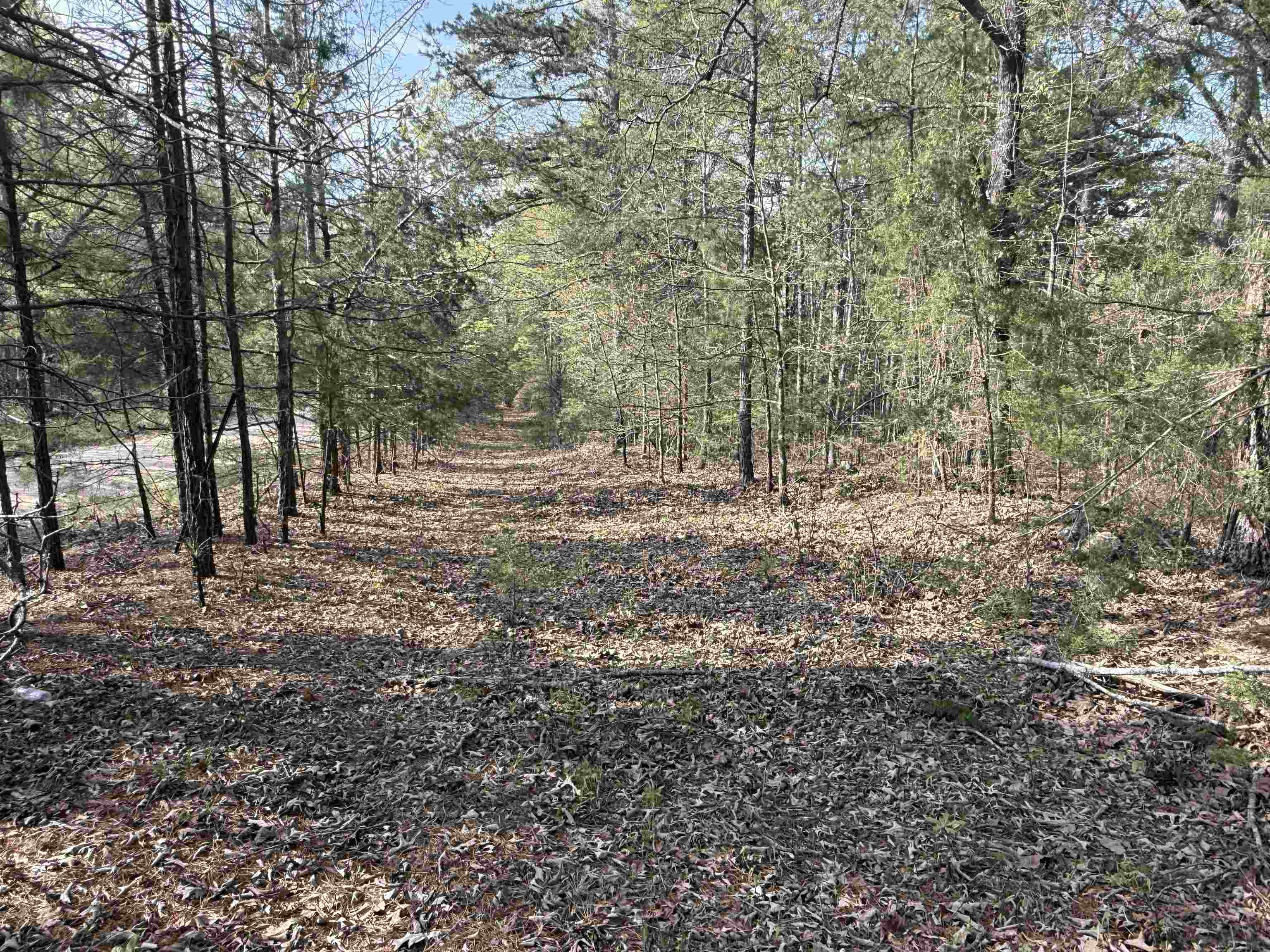 1314  Shoemaker Road  Violet Hill, AR
