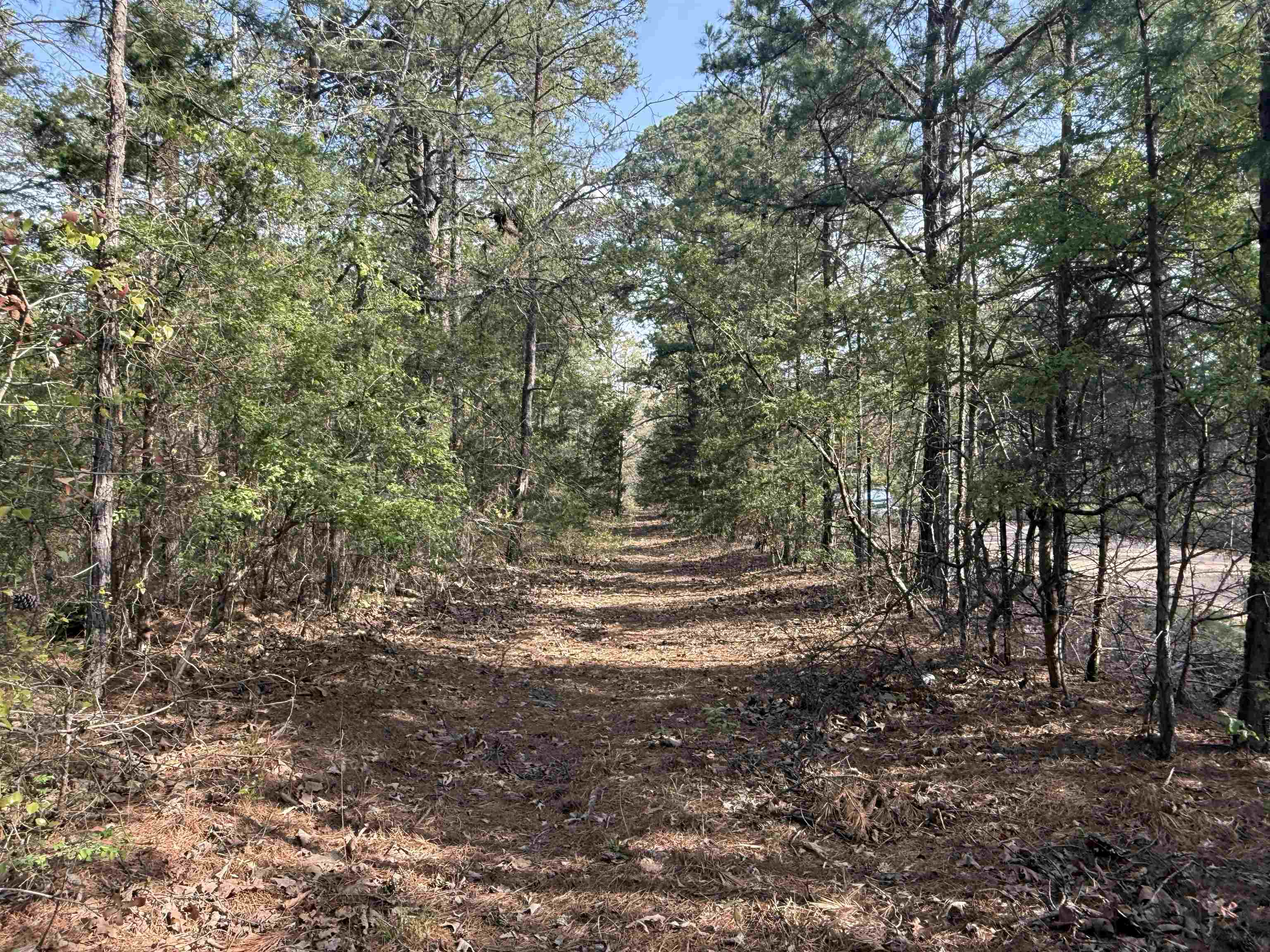 1314  Shoemaker Road  Violet Hill, AR