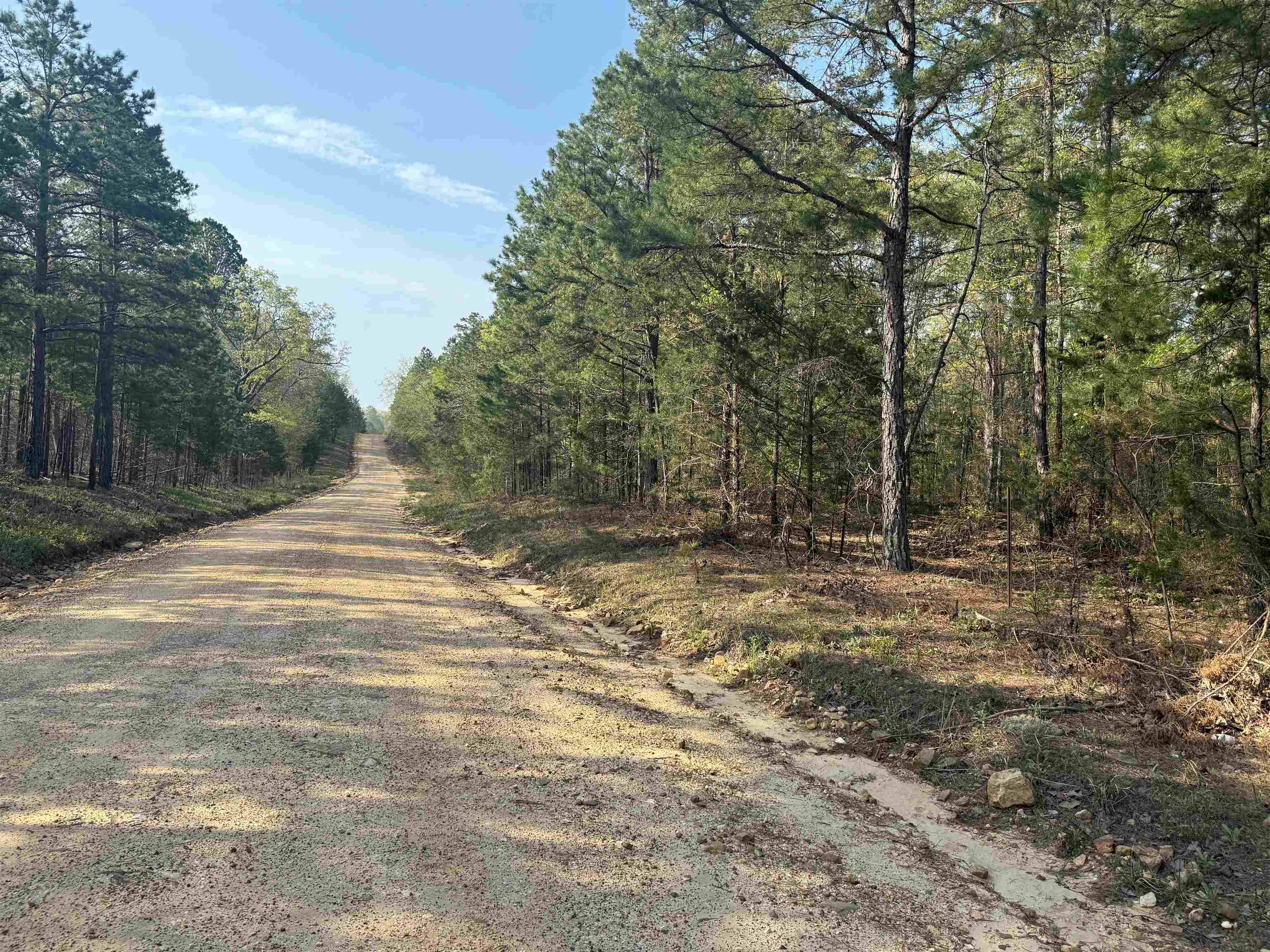 1314  Shoemaker Road  Violet Hill, AR