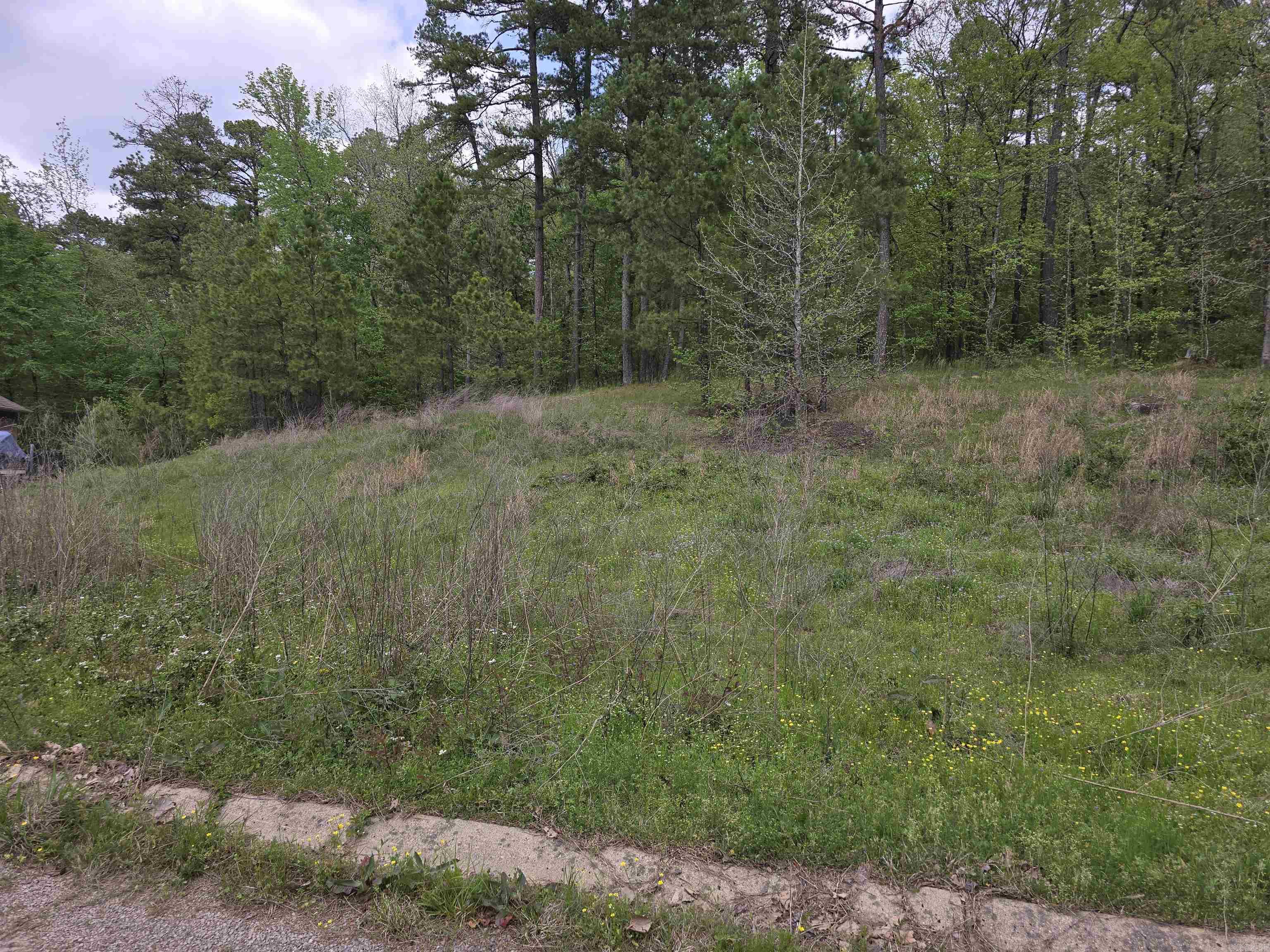 Lot 15  Blue Moon  Hot Springs, AR