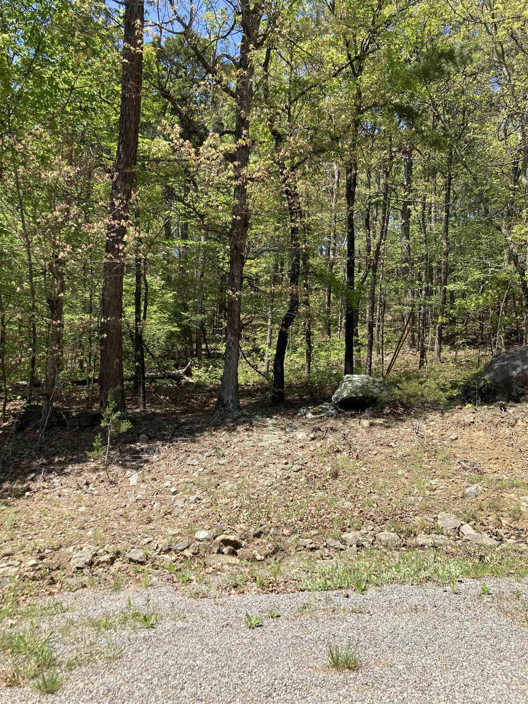 Lot 264 block22  Persimmon Rd  Fairfield Bay, AR