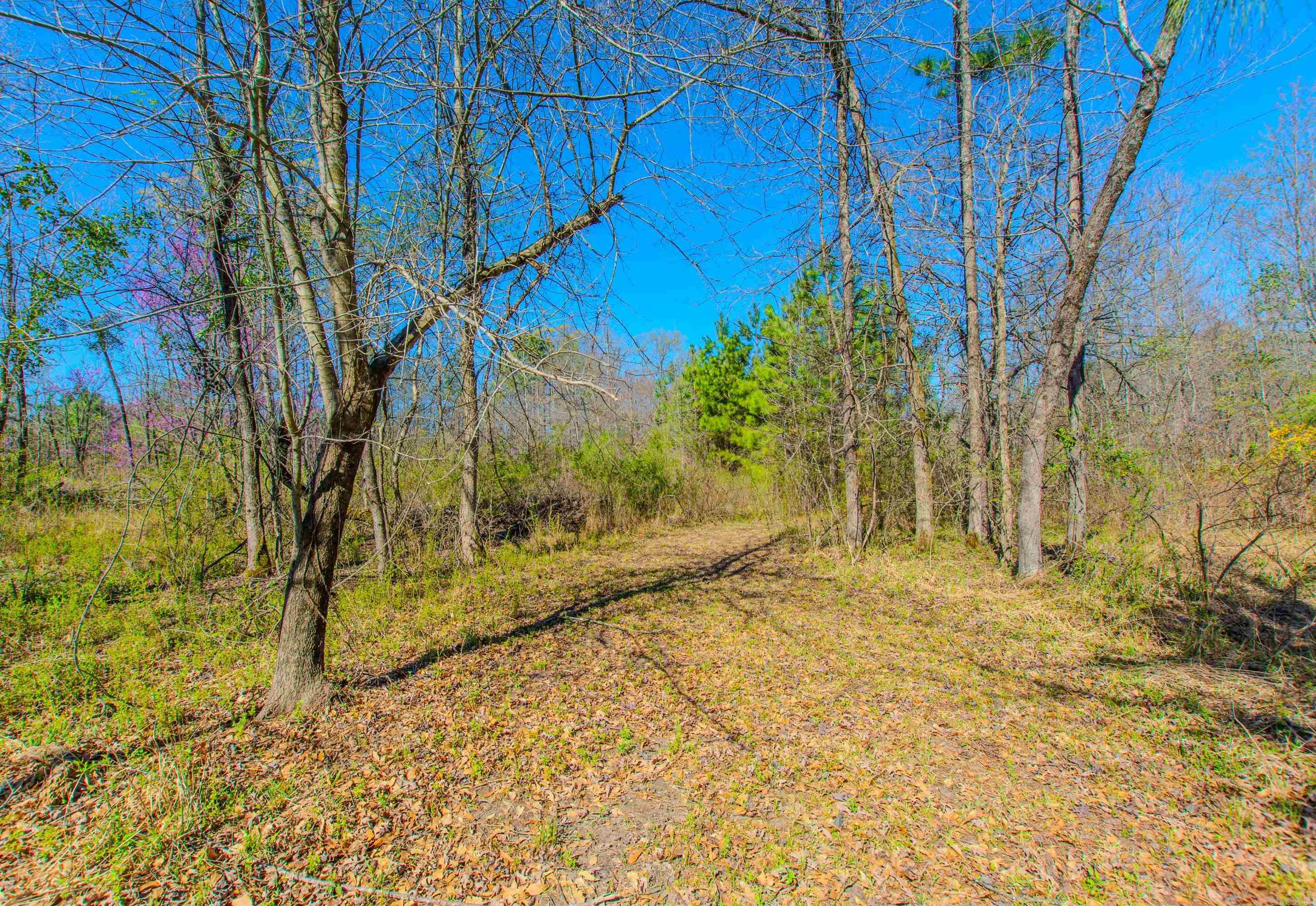 3110  Edison  Benton, AR