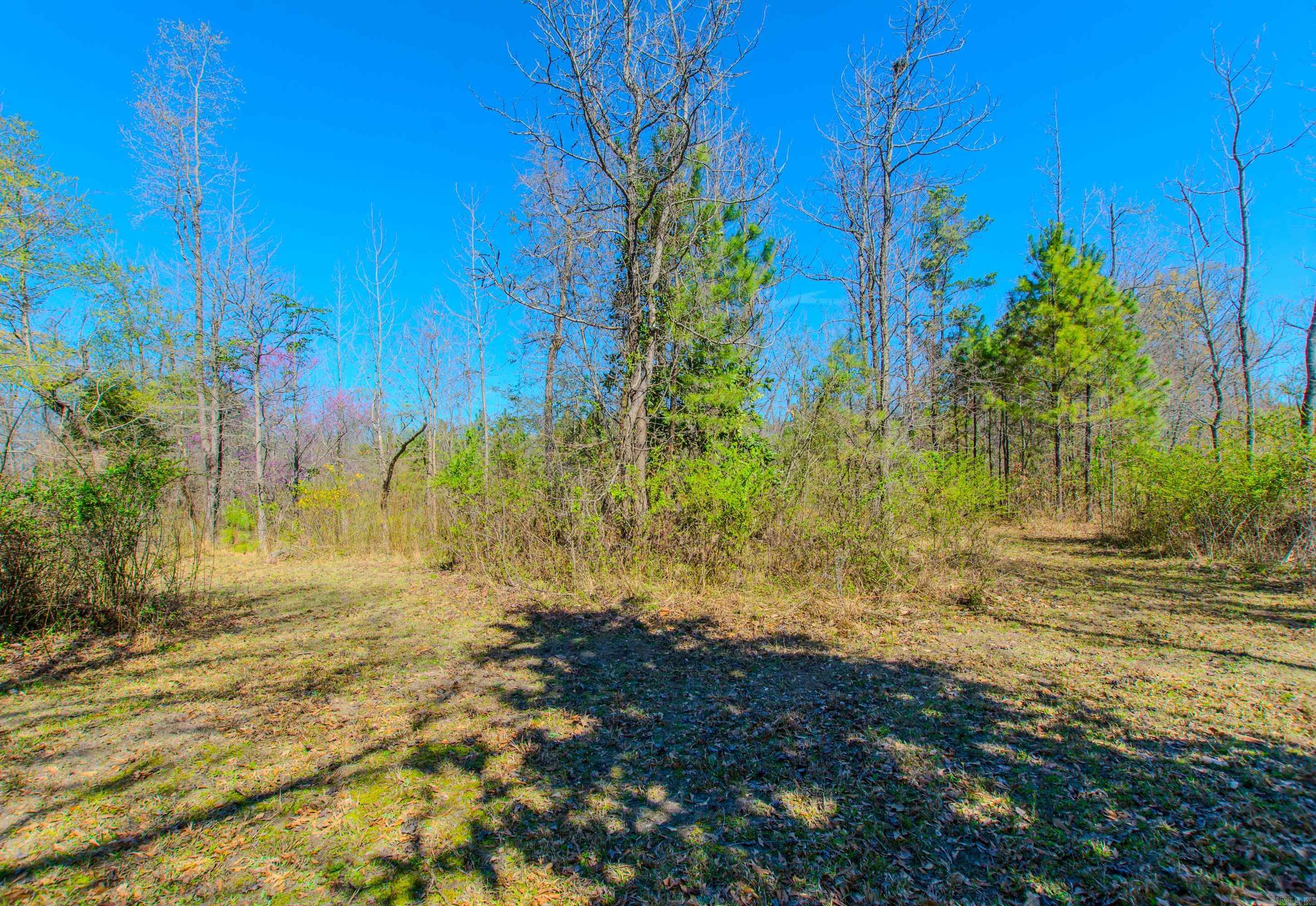 3110  Edison  Benton, AR