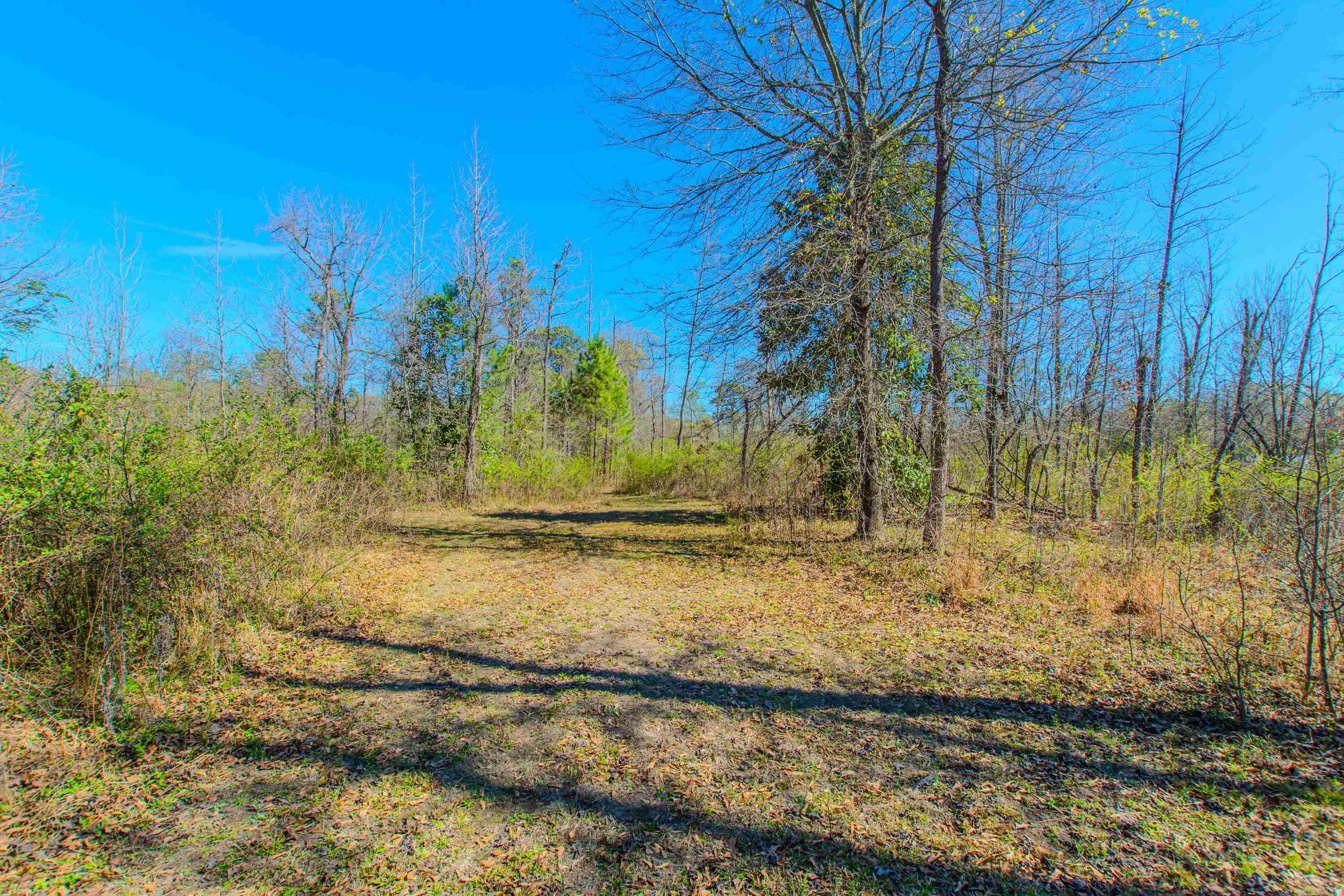 3110  Edison  Benton, AR