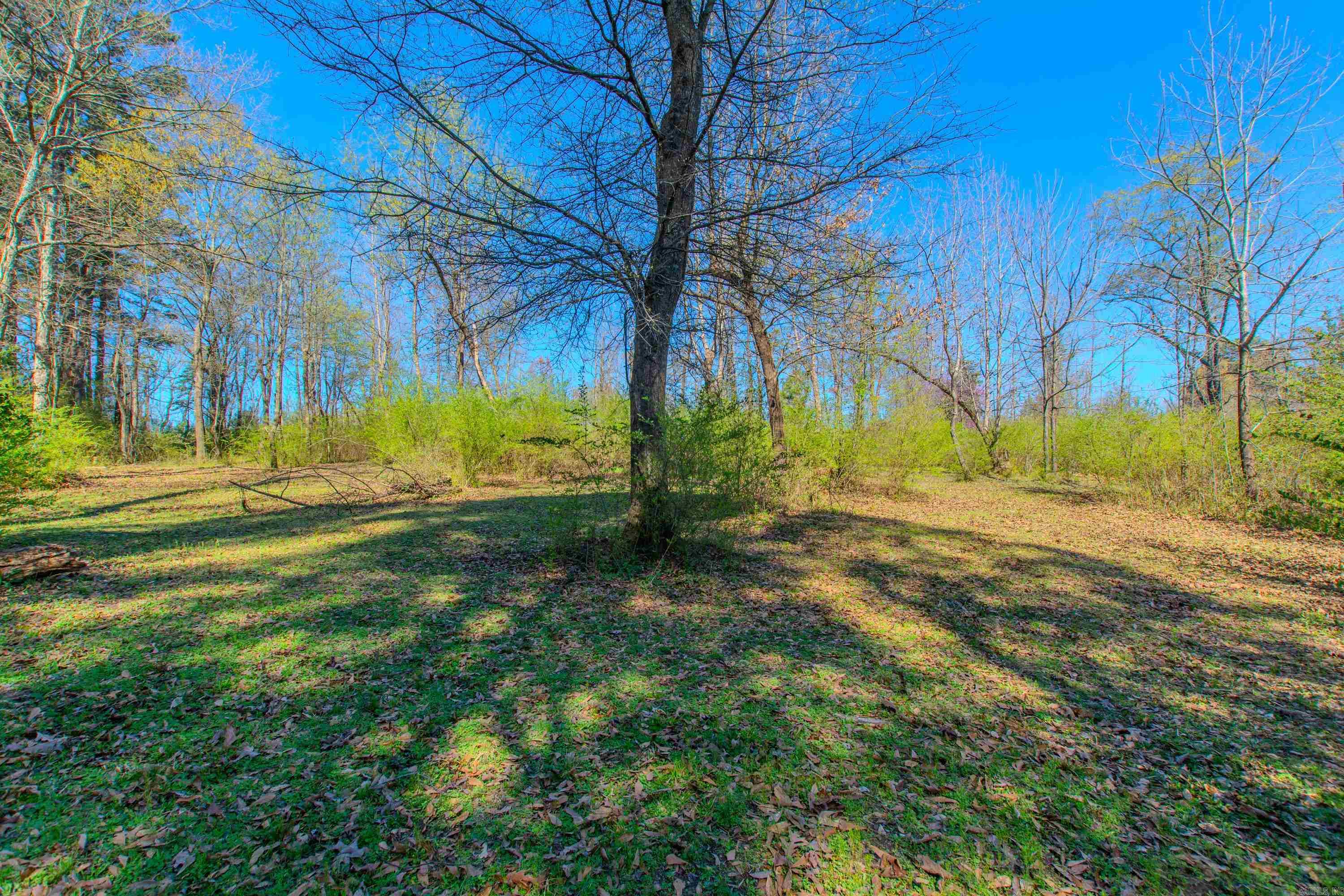 3110  Edison  Benton, AR