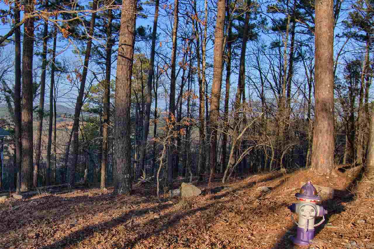 82  Mesero Way  Hot Springs Village, AR
