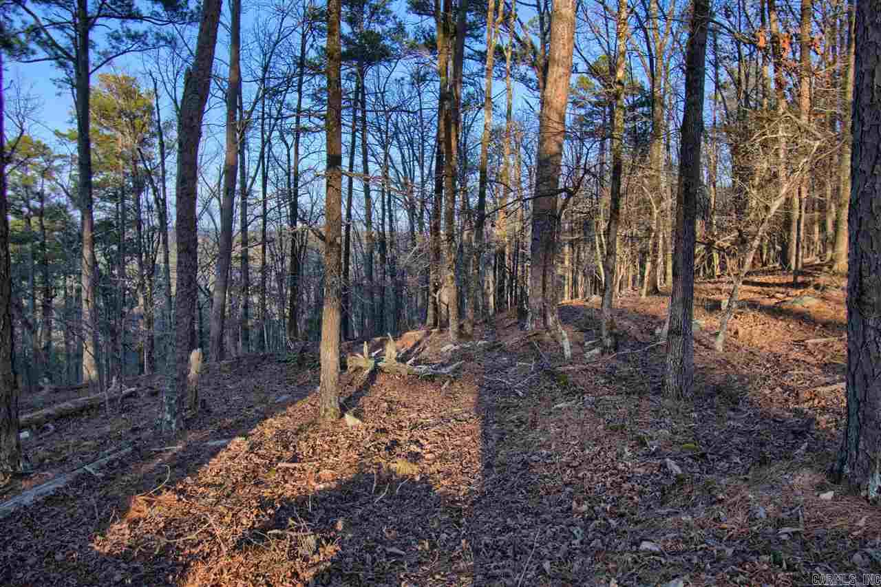 82  Mesero Way  Hot Springs Village, AR