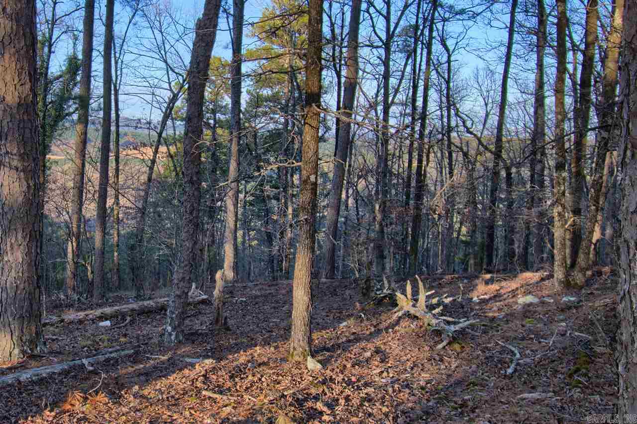 82  Mesero Way  Hot Springs Village, AR