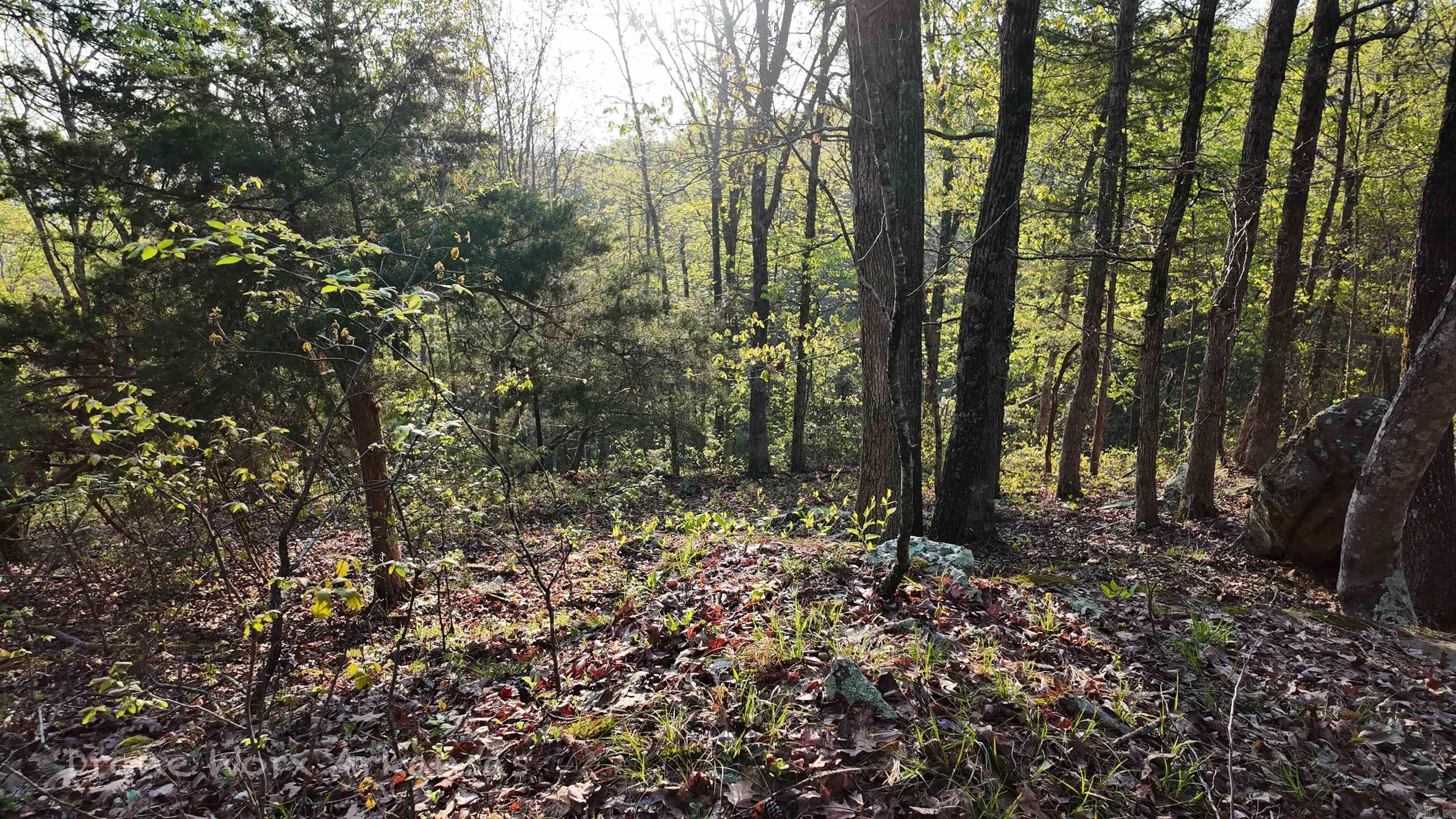 653  Blair  Shirley, AR