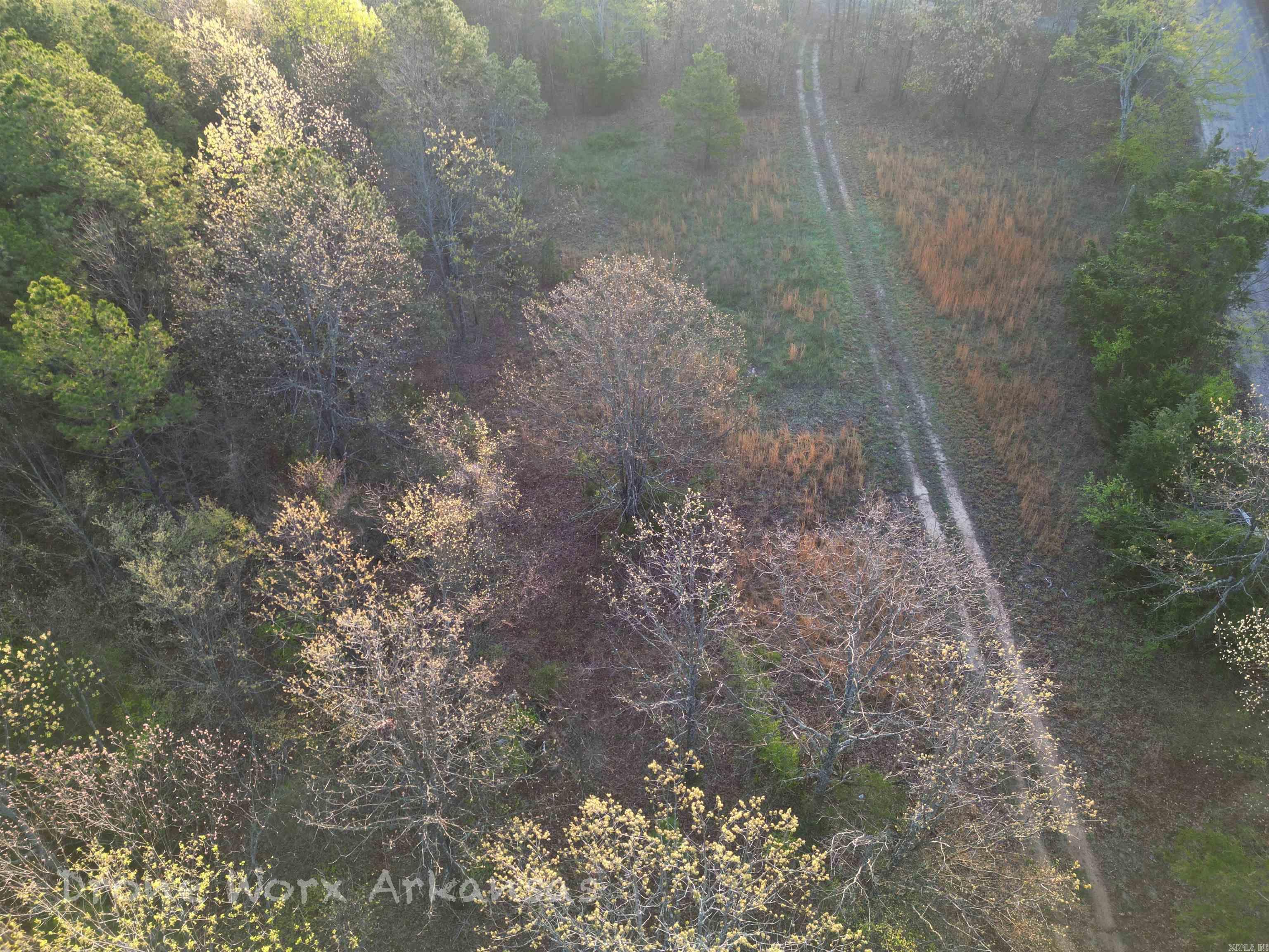 653  Blair  Shirley, AR