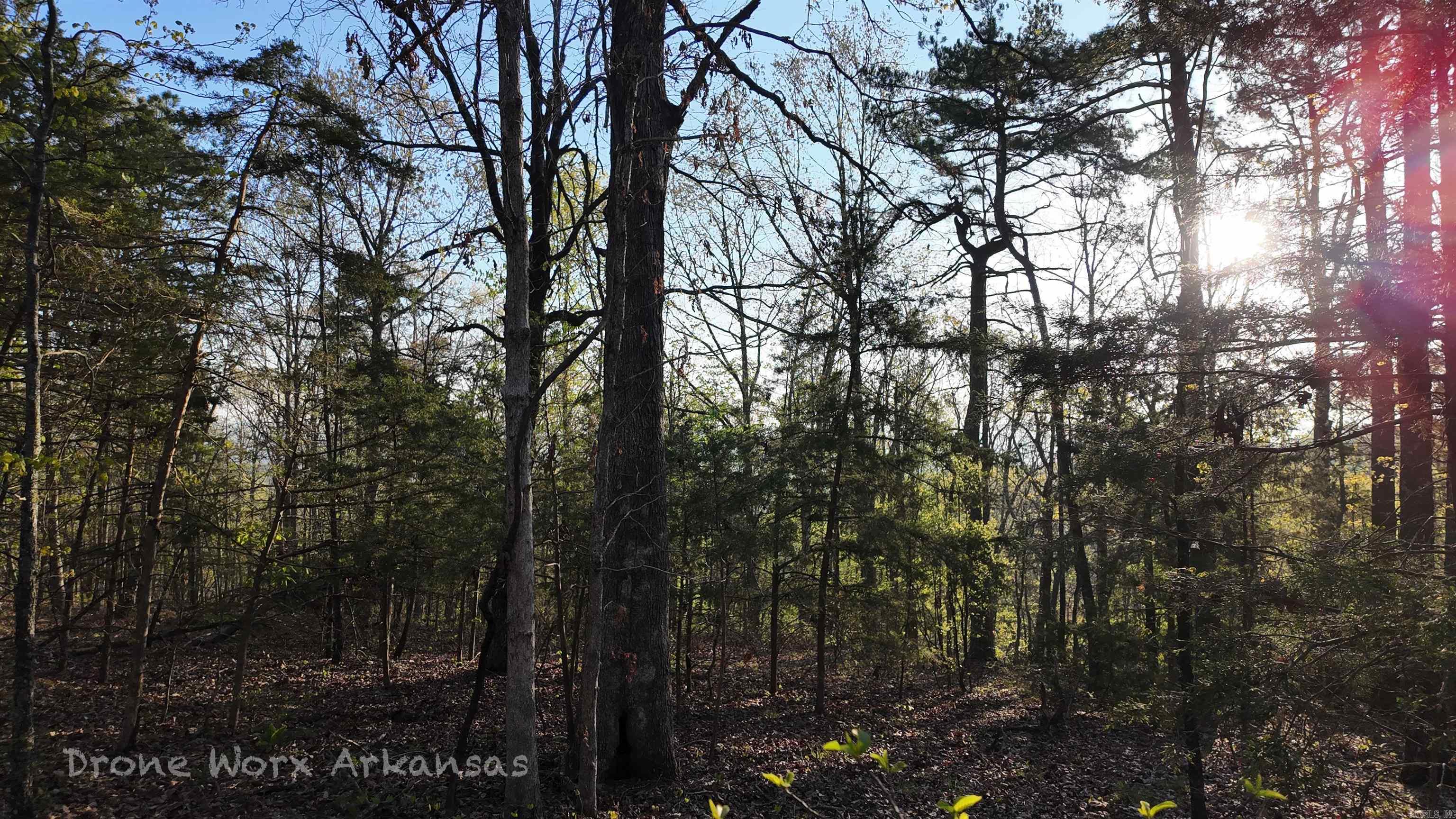 653  Blair  Shirley, AR