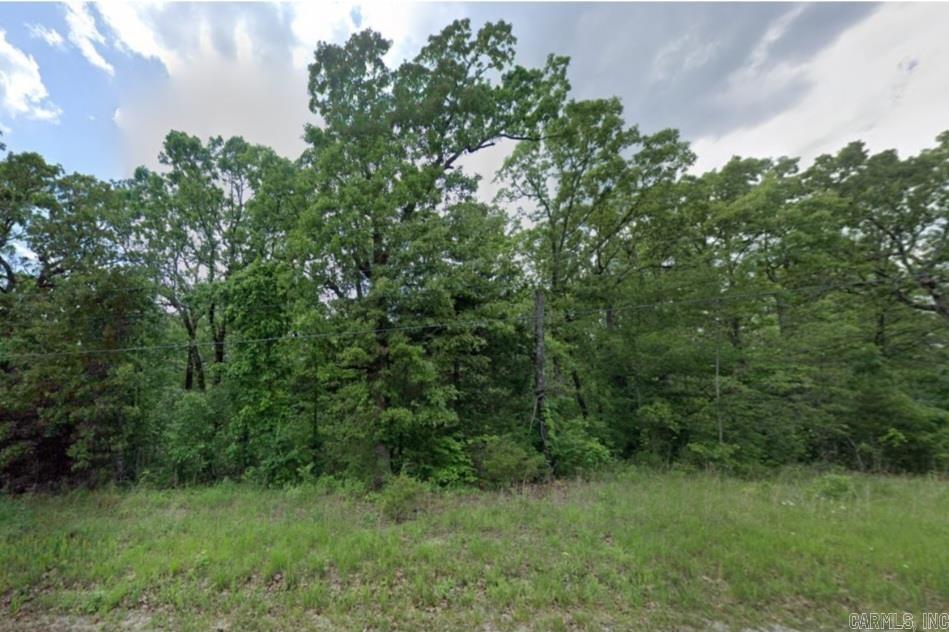 506  Catbird  Horseshoe Bend, AR
