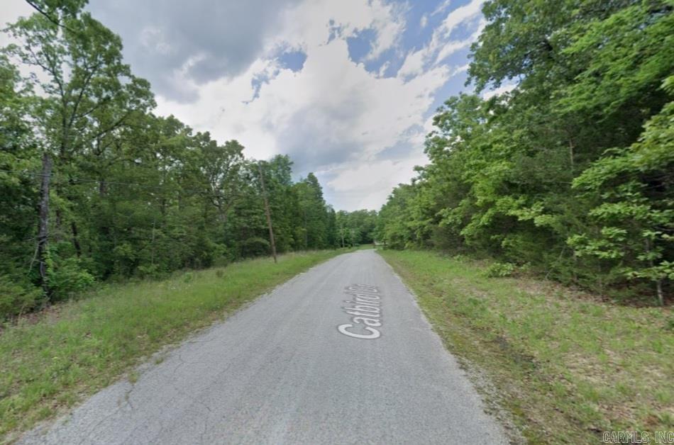 506  Catbird  Horseshoe Bend, AR