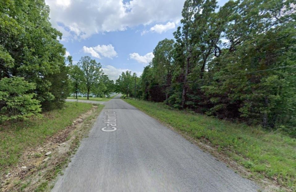 506  Catbird  Horseshoe Bend, AR