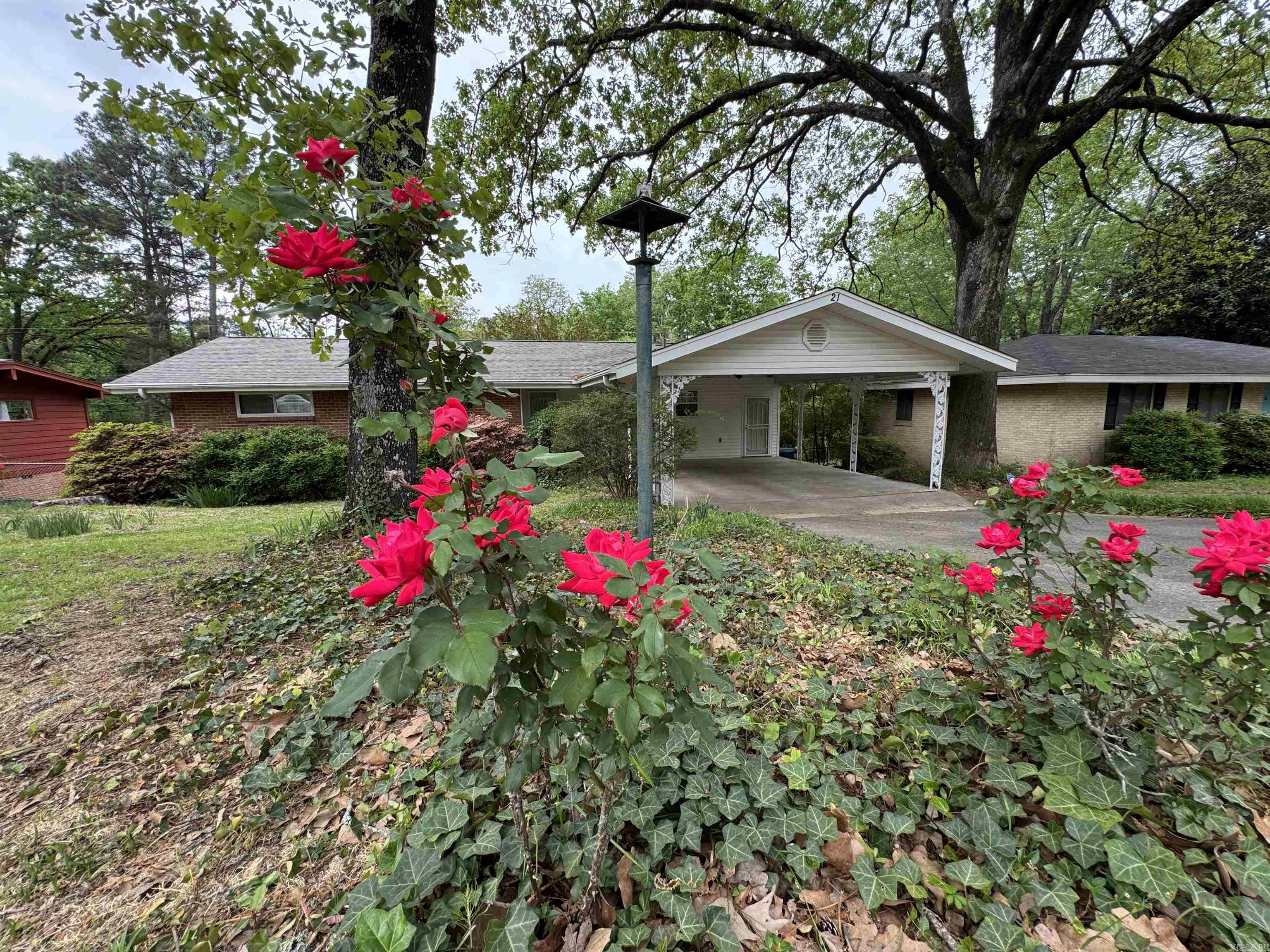 21  Belmont  Little Rock, AR